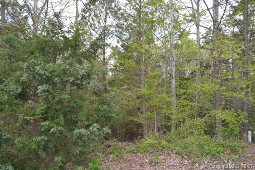 Great lot ready for building your dream home! Large lot over an acre! Cul de sac! Great access to dining and shopping