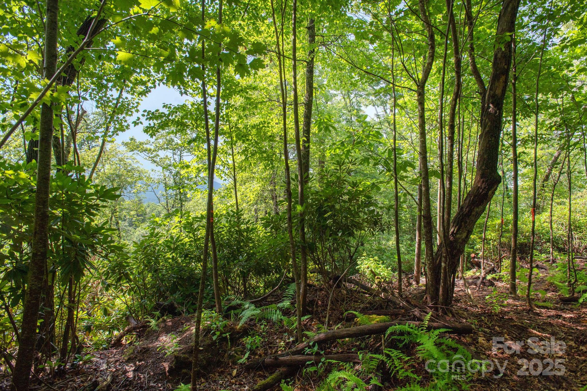 Lot # 2 Masterpiece View Drive 2