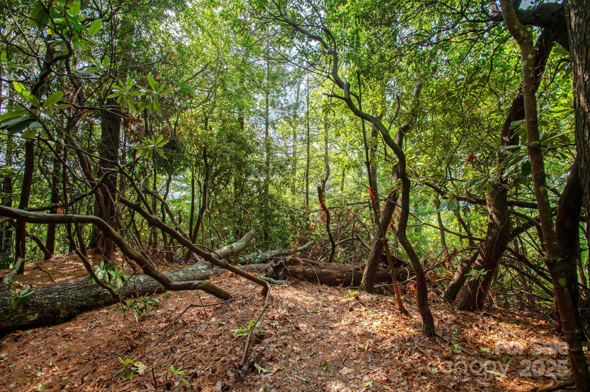 Masterpiece Ridge - Land