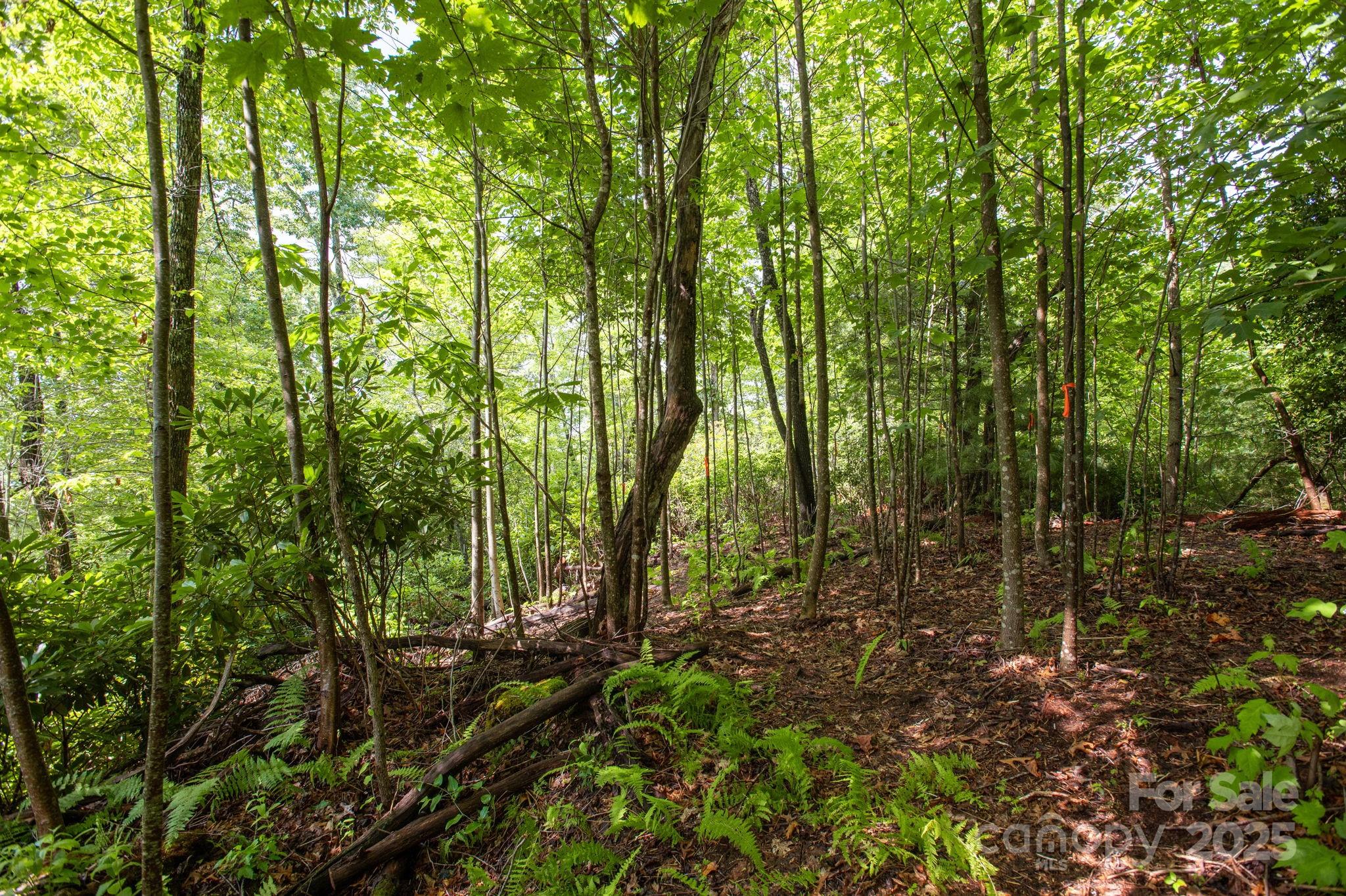 Masterpiece Ridge - Land