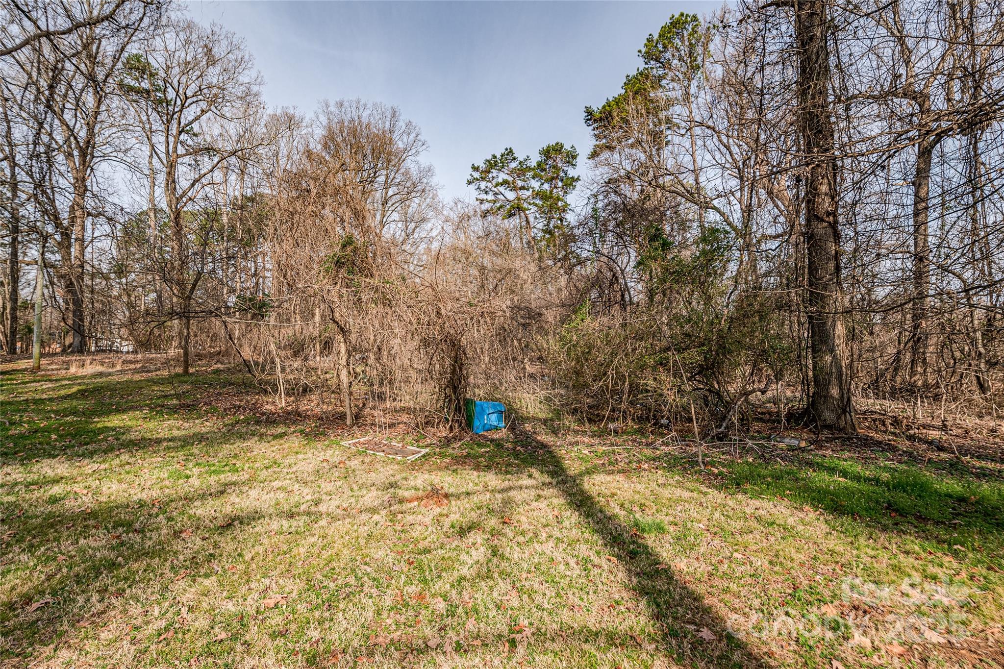 13216 Lawyers Road