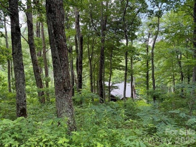 Lot 21 Odalu Trail 21
