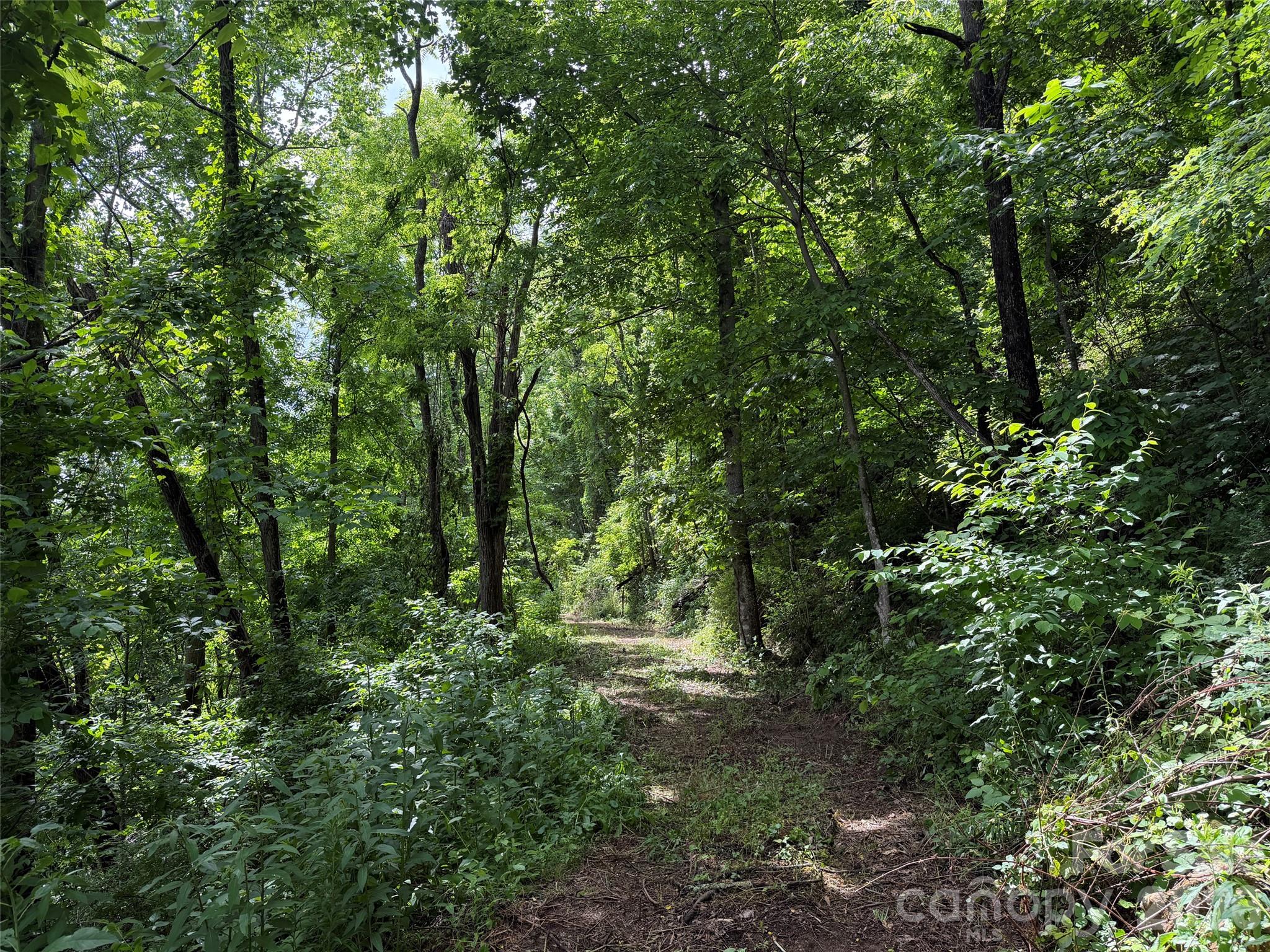 00 Panorama Drive 17
