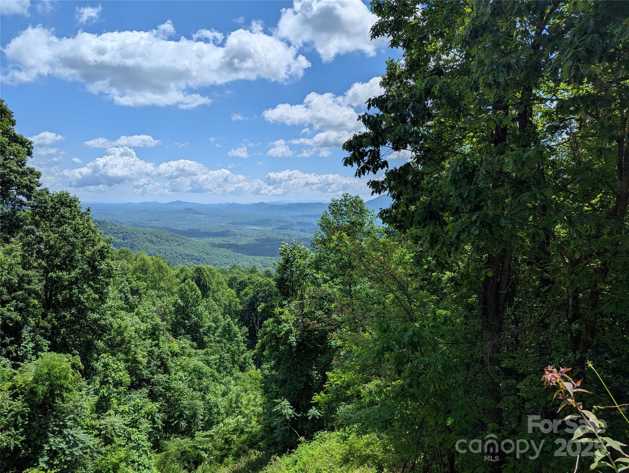 67 Creston Drive T-17