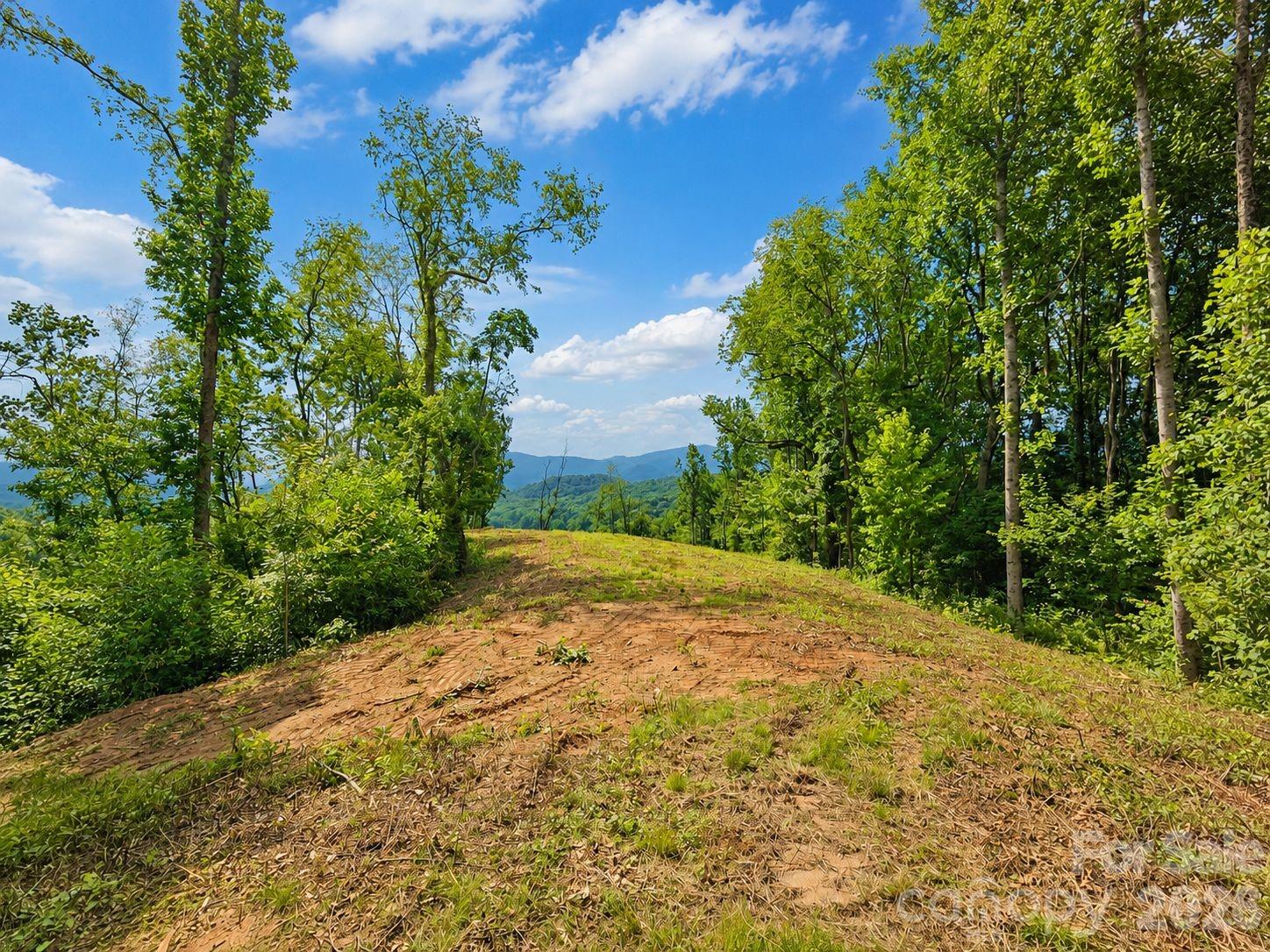 275 Sorrells Cove Road C1