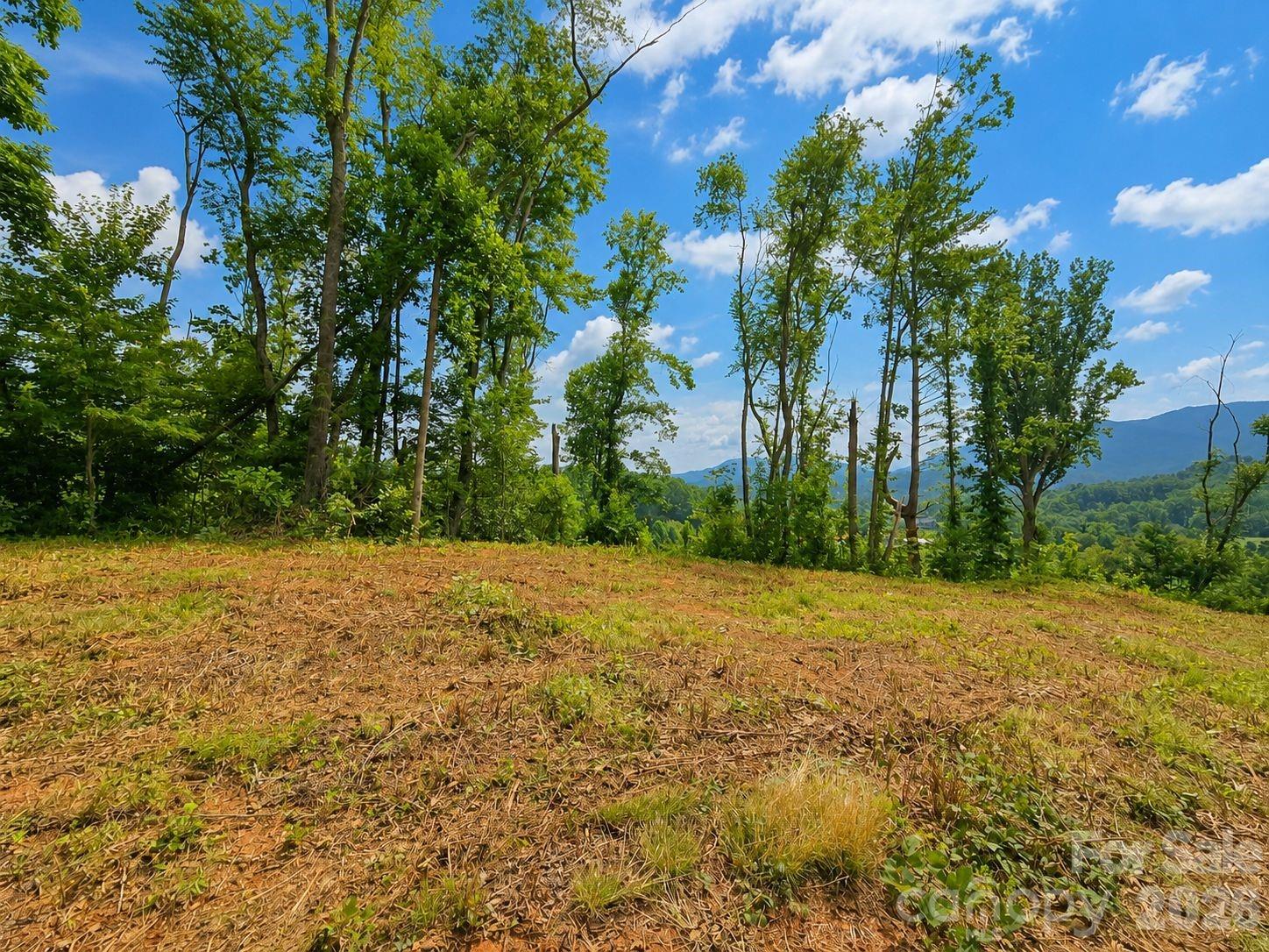275 Sorrells Cove Road C1