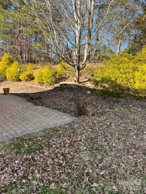 Brookchase - Residential Lease