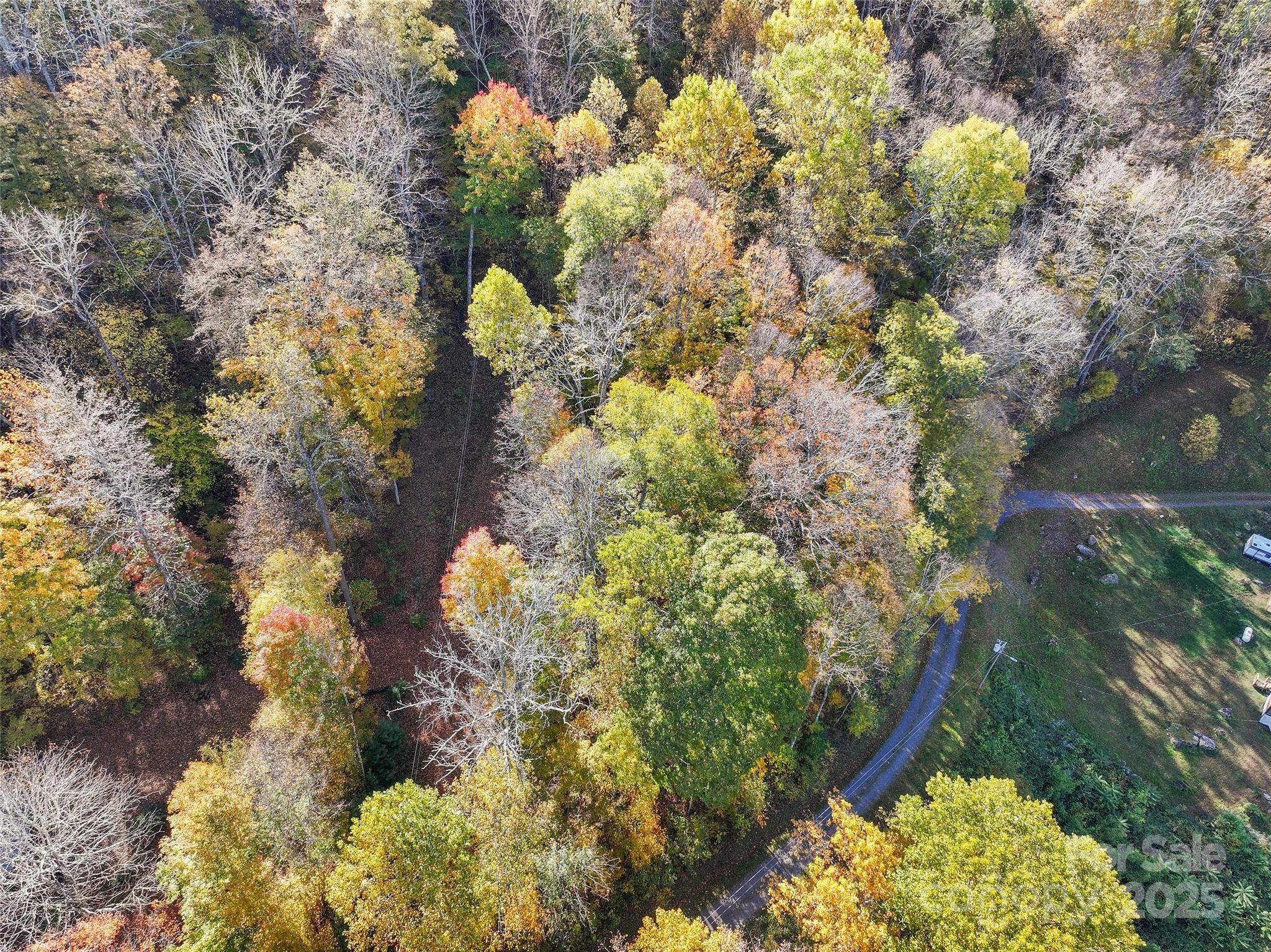 Lot 316 McGuires Ridge 316