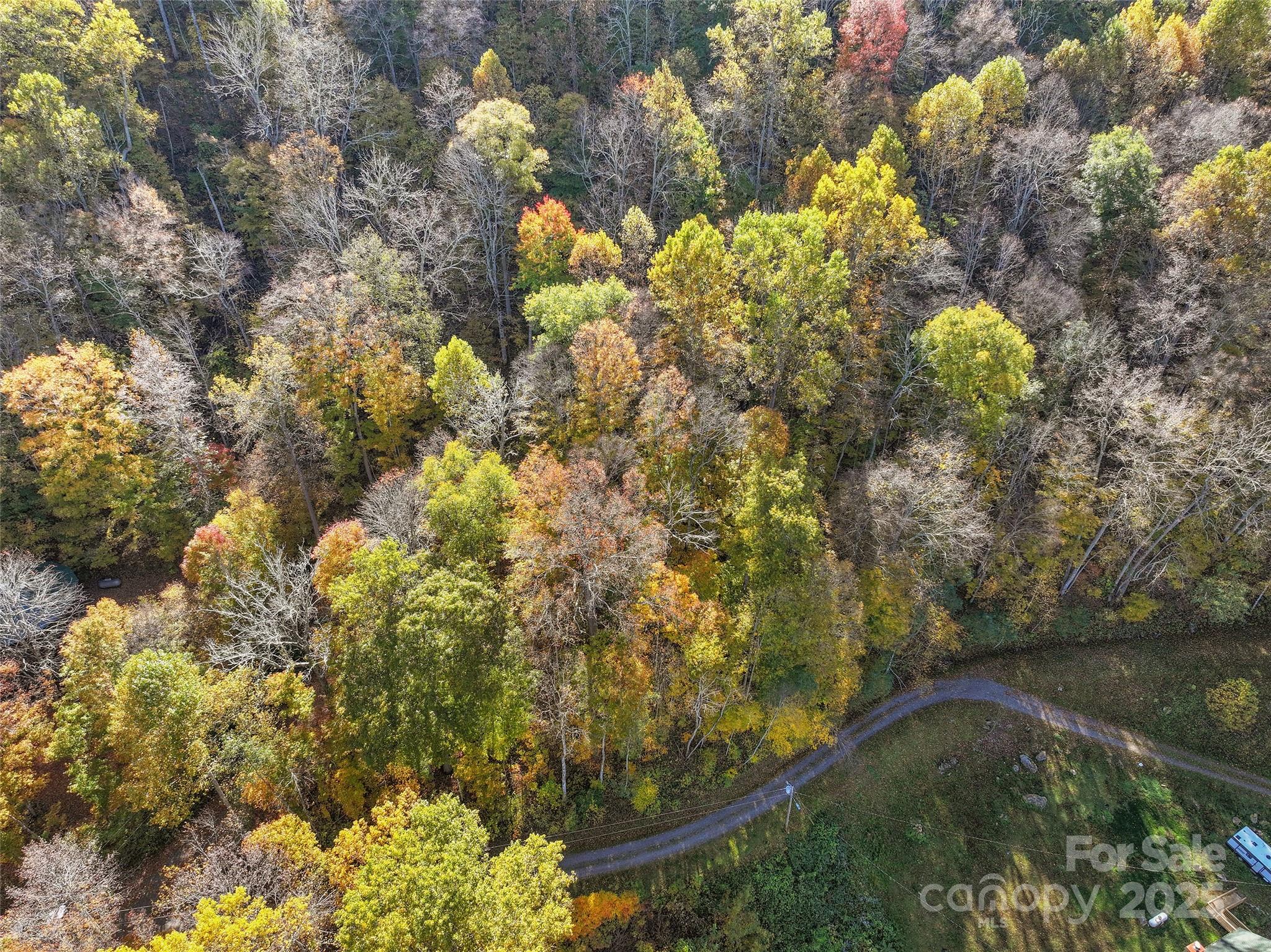 Lot 316 McGuires Ridge 316