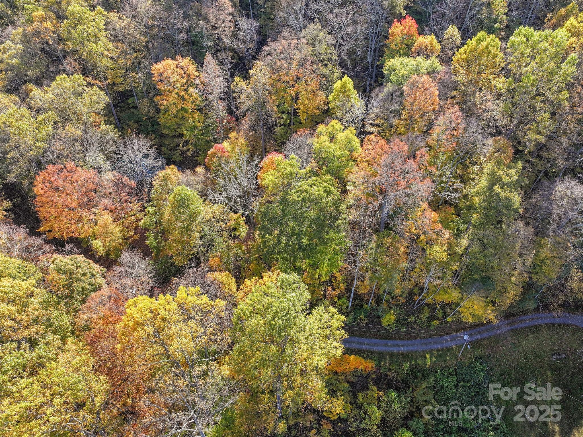 Lot 316 McGuires Ridge 316