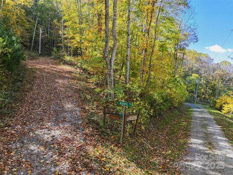 Lot 316 McGuires Ridge 316 Waynesville NC 28786