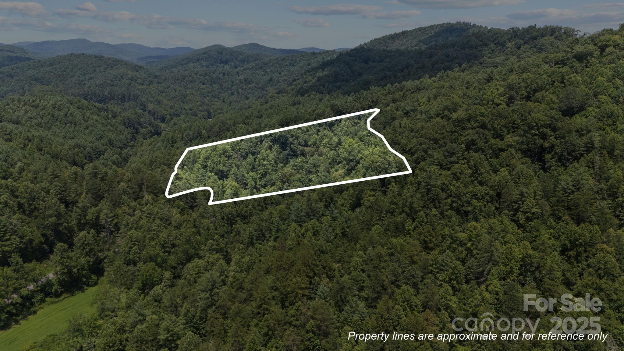 1296 Sheets Gap Road