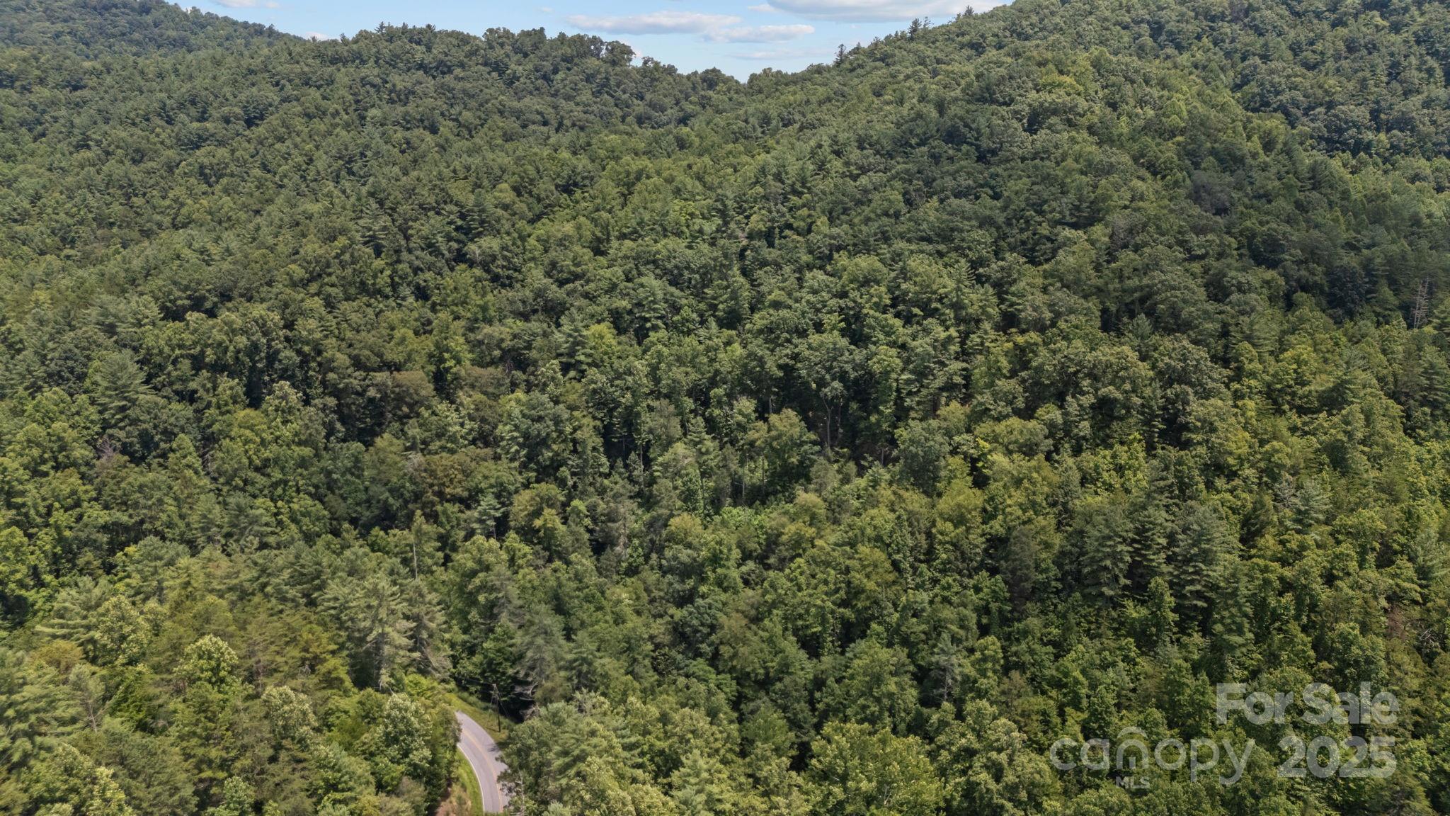 1296 Sheets Gap Road