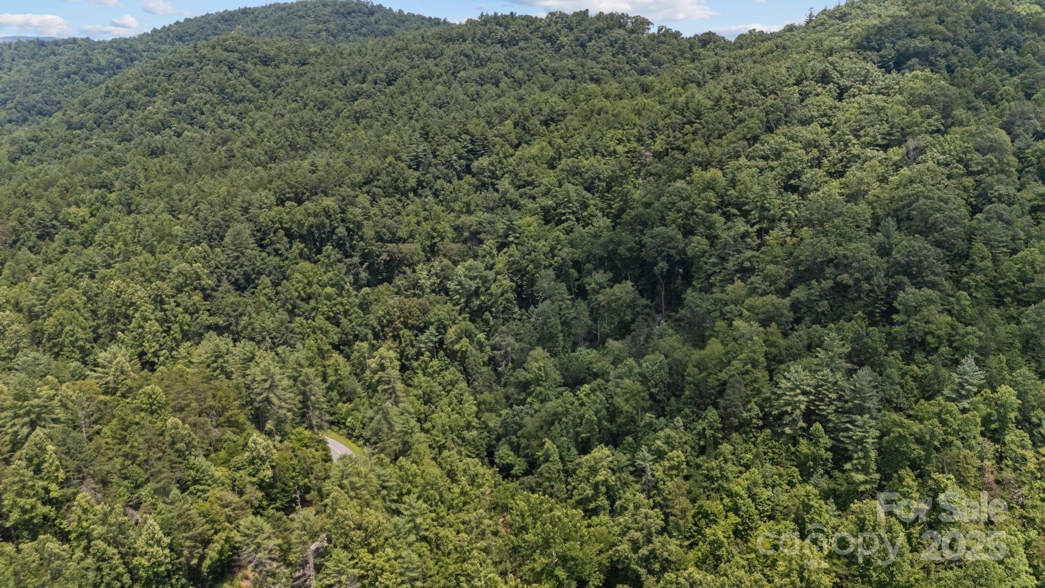 1296 Sheets Gap Road