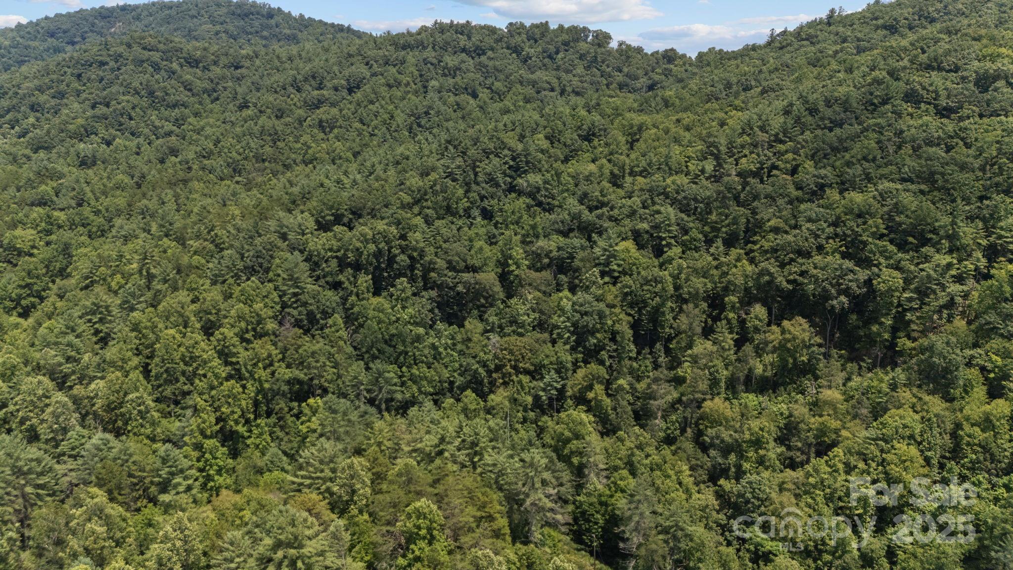 1296 Sheets Gap Road