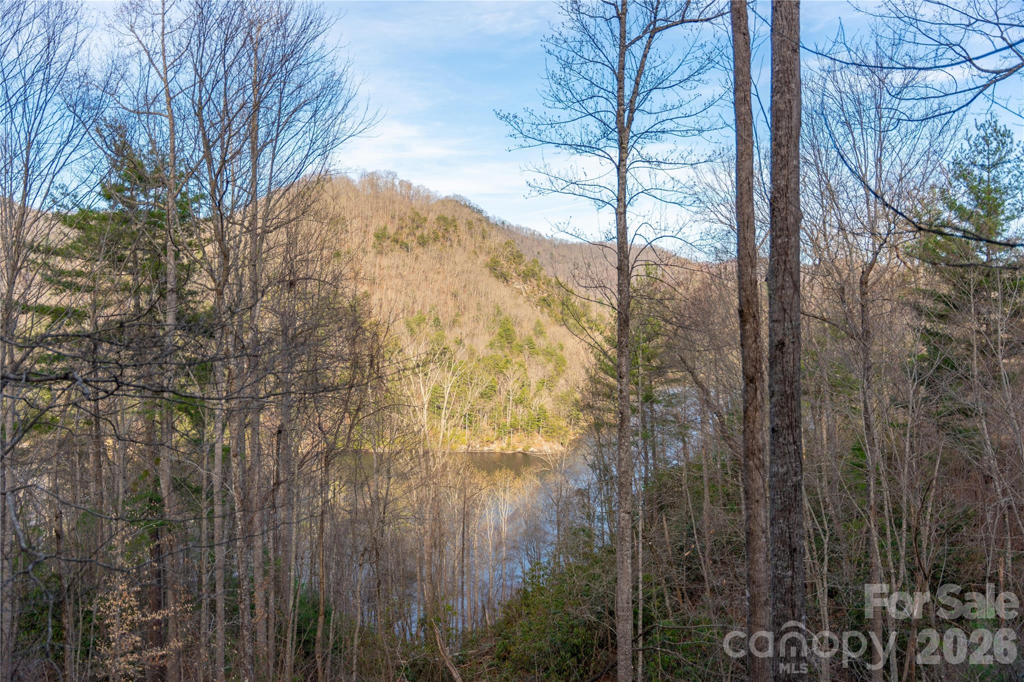 Bear Lake Reserve - Residential