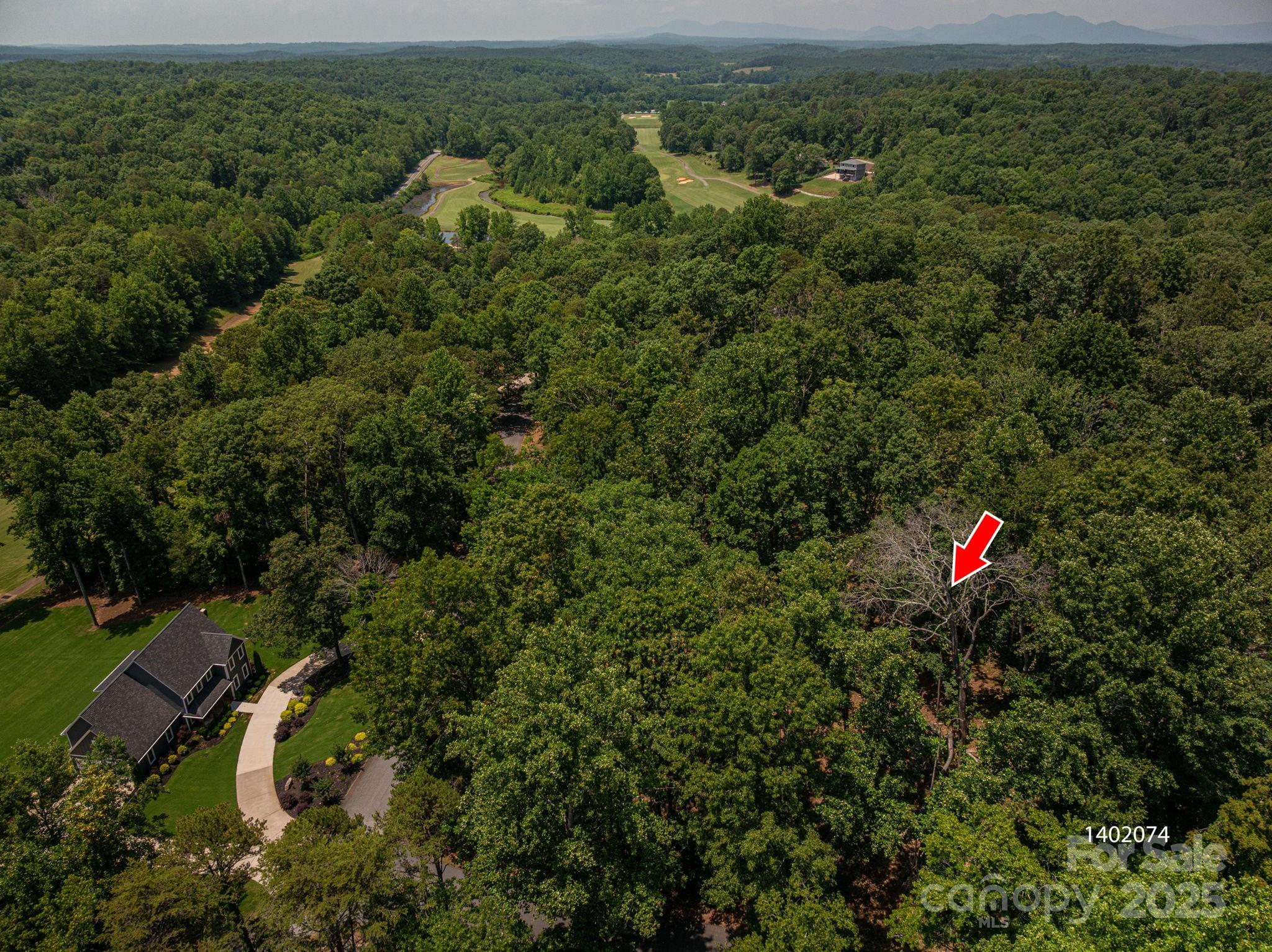 Moss Drive at Cleghorn - Land