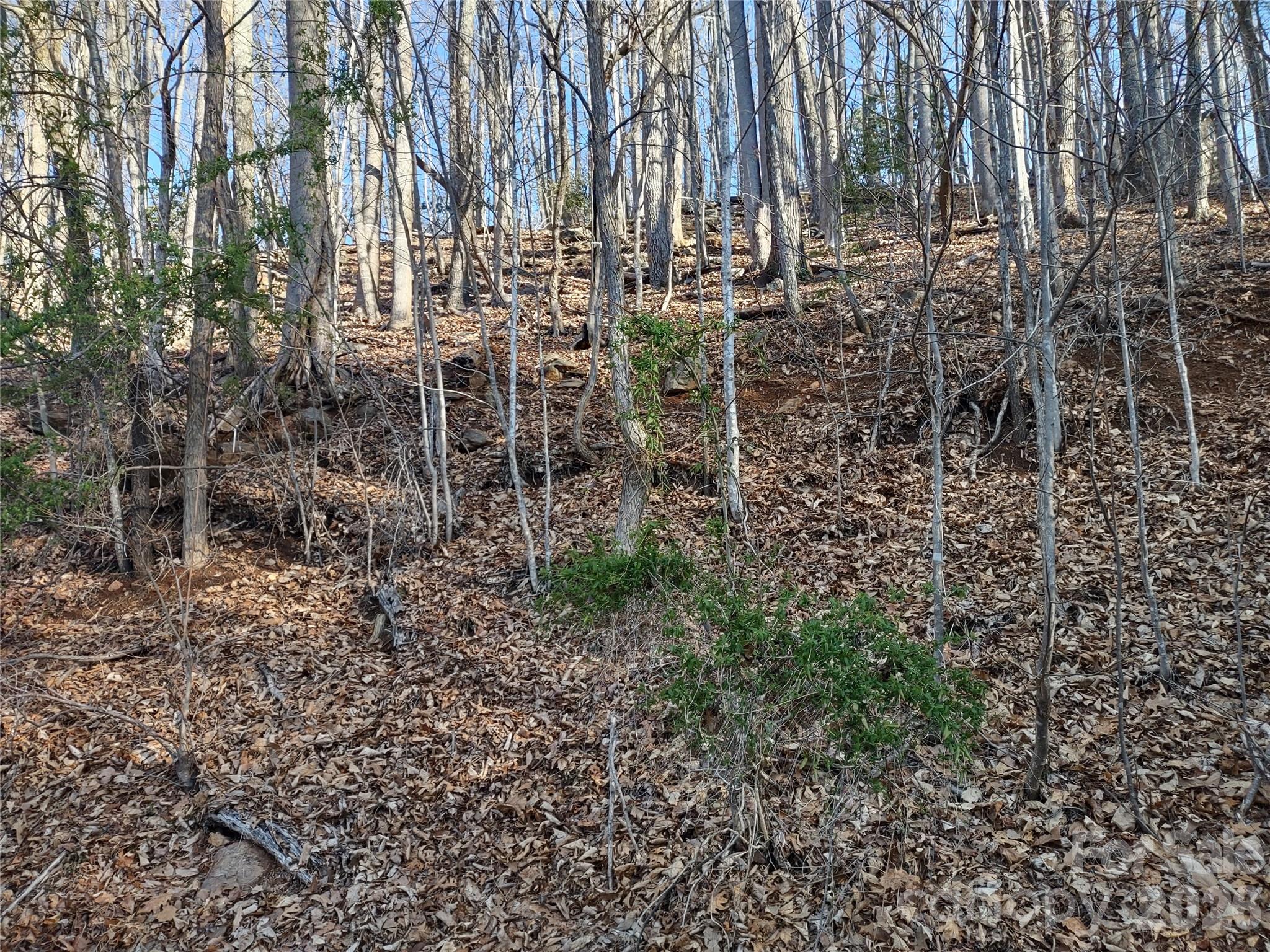 99999 Cedar Drive 273