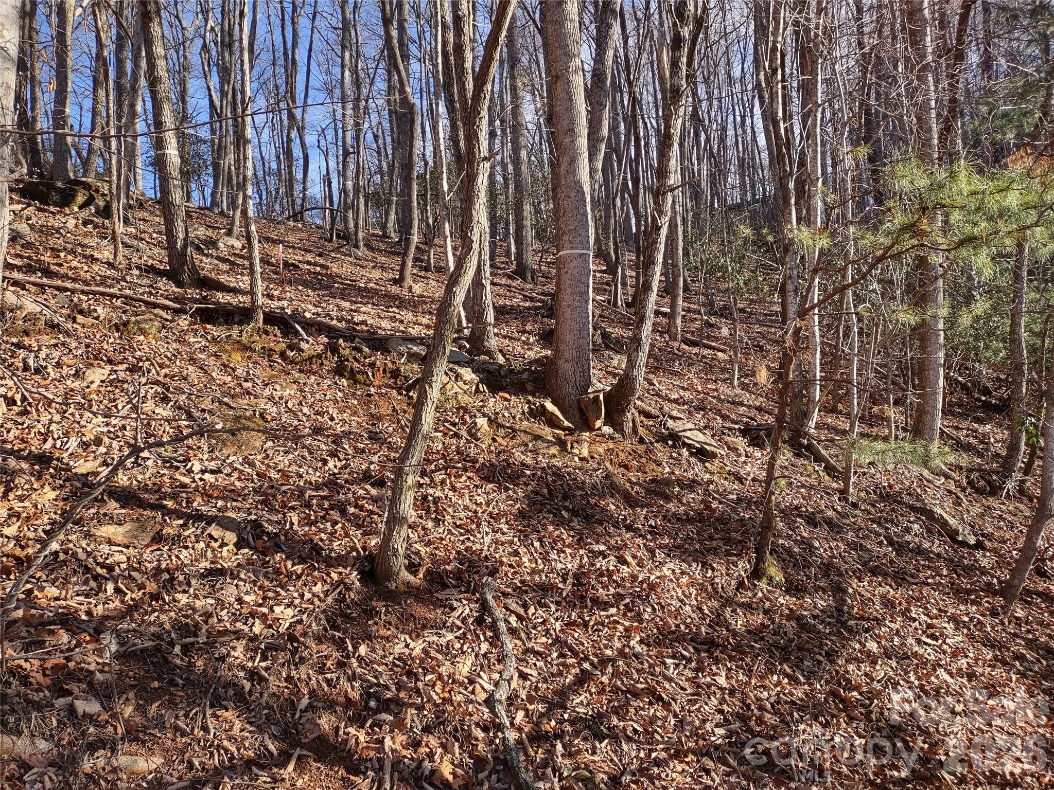 99999 Cedar Drive 273