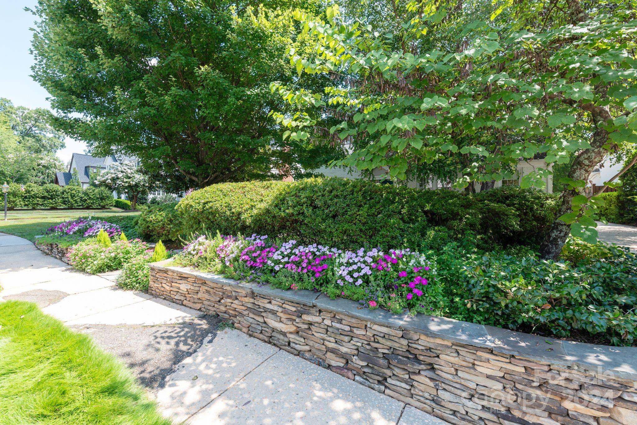 Myers Park - Residential