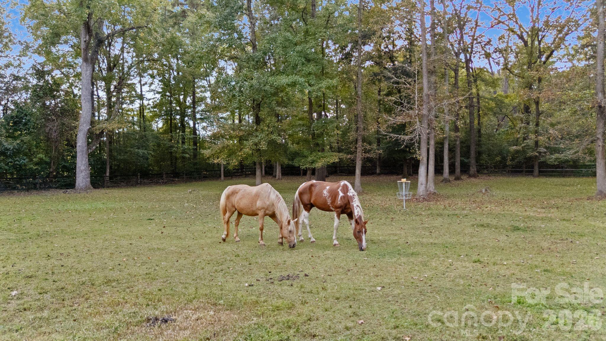 Beatties Ford - Residential