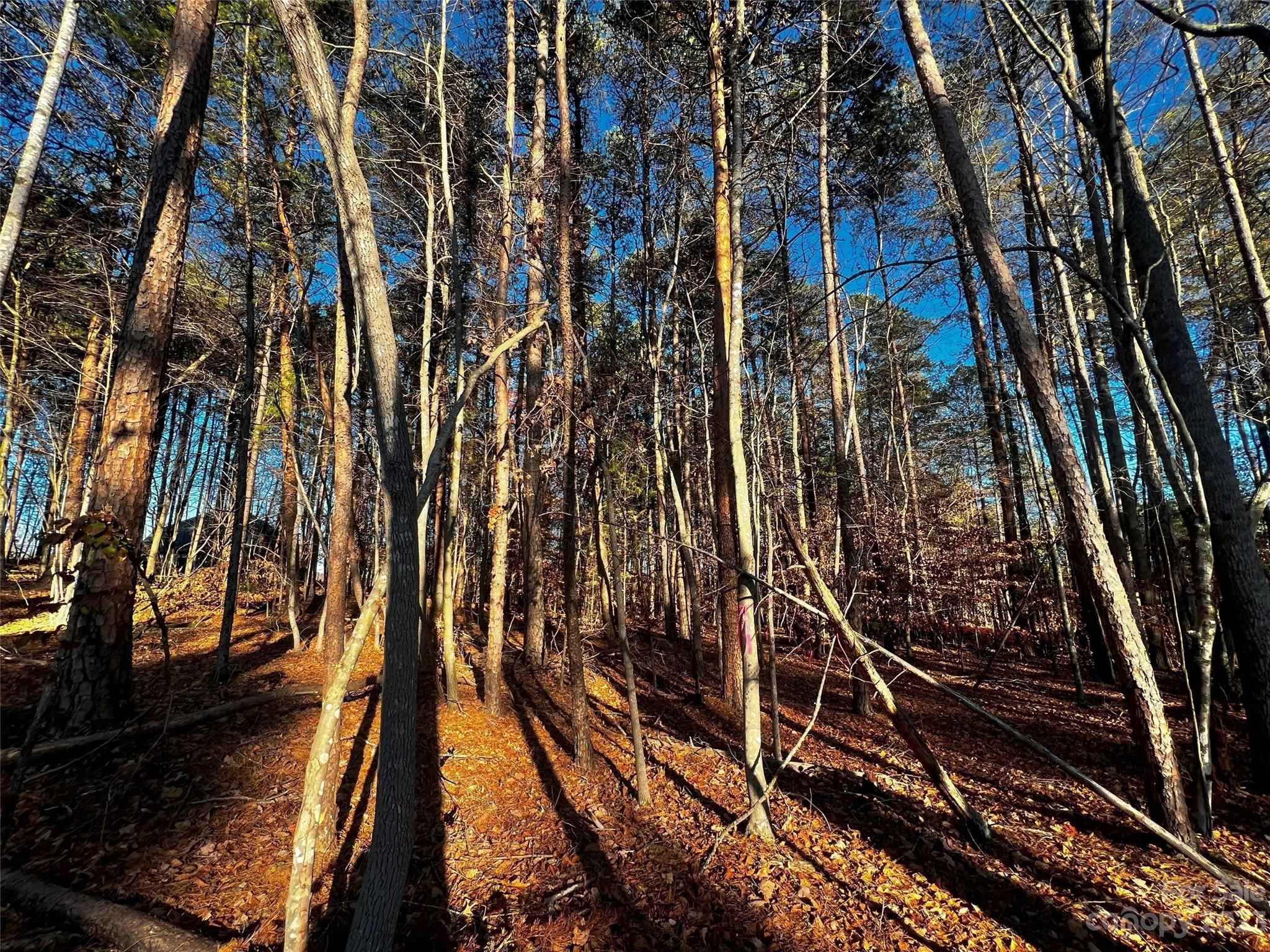 129 Hunt Camp Trail 15