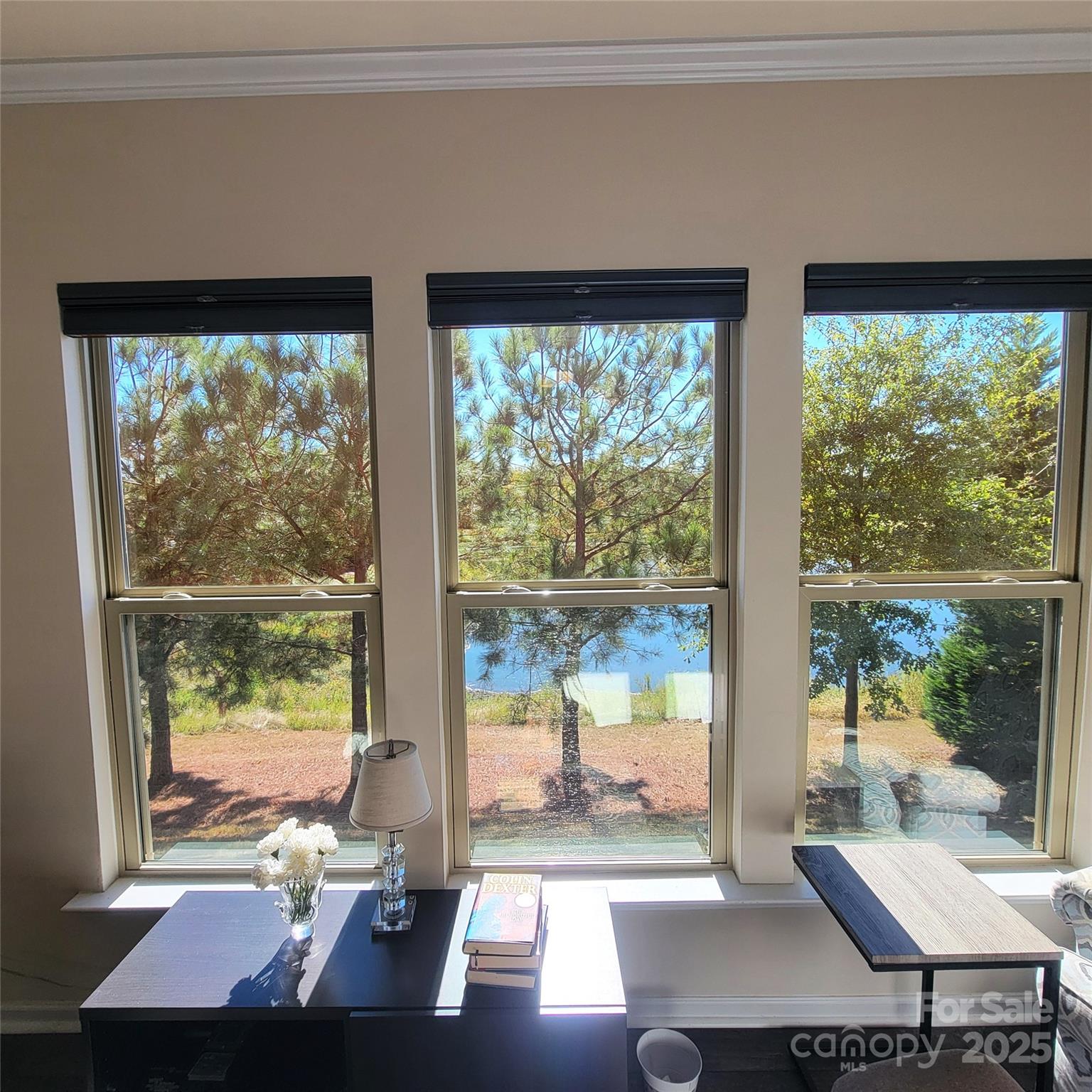 Carolina Orchards - Residential