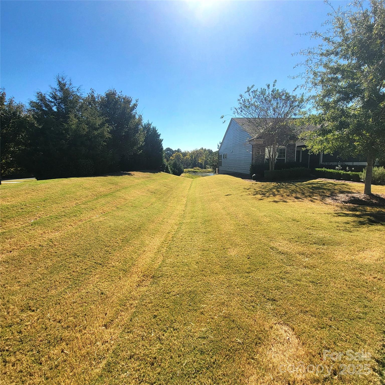 Carolina Orchards - Residential