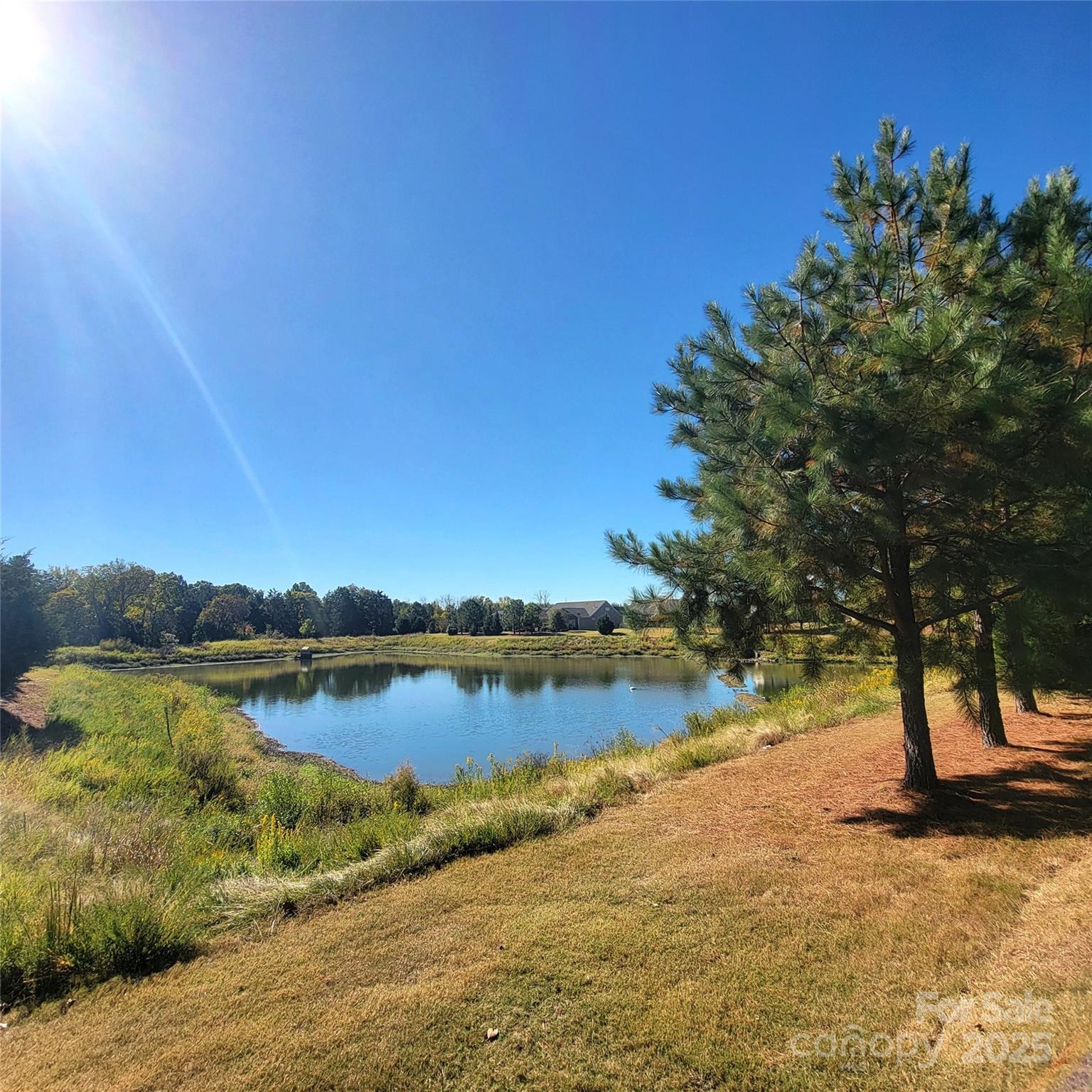 Carolina Orchards - Residential