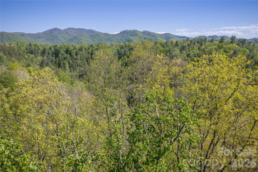 Private, wooded 3.23-acre lot with potential for long-range mountain views and multiple access points for building. Conveniently located just 10 minutes from Weaverville, 15 minutes to Mars Hill, and approximately 20 minutes to Asheville, offering easy access to shopping, dining, and entertainment. Ideally situated near the scenic Big Ivy (Coleman Boundary) and within a short drive of Pisgah National Forest, known for its waterfalls, hiking trails, and unspoiled natural beauty. An exceptional opportunity to build your dream home in a truly prime location, this property features open-use potential and is ready to bring your vision to life in the beautiful mountains of Western North Carolina.