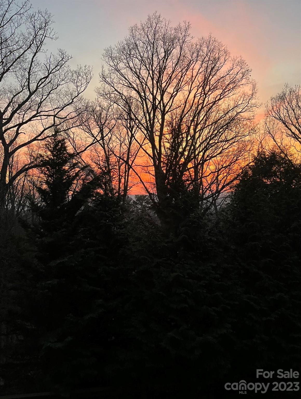 Grove Park - Residential