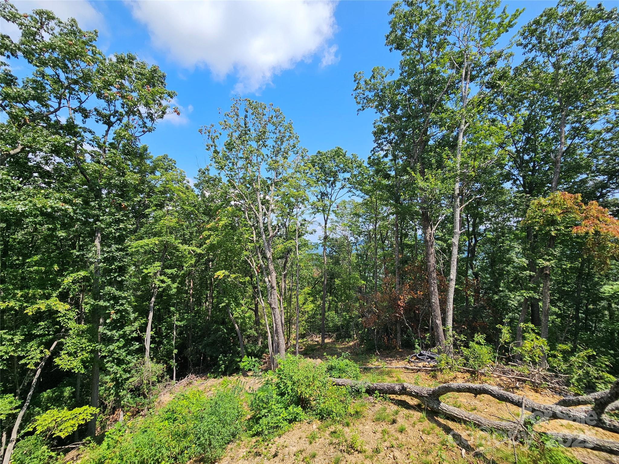 Catawba Falls Preserve - Residential