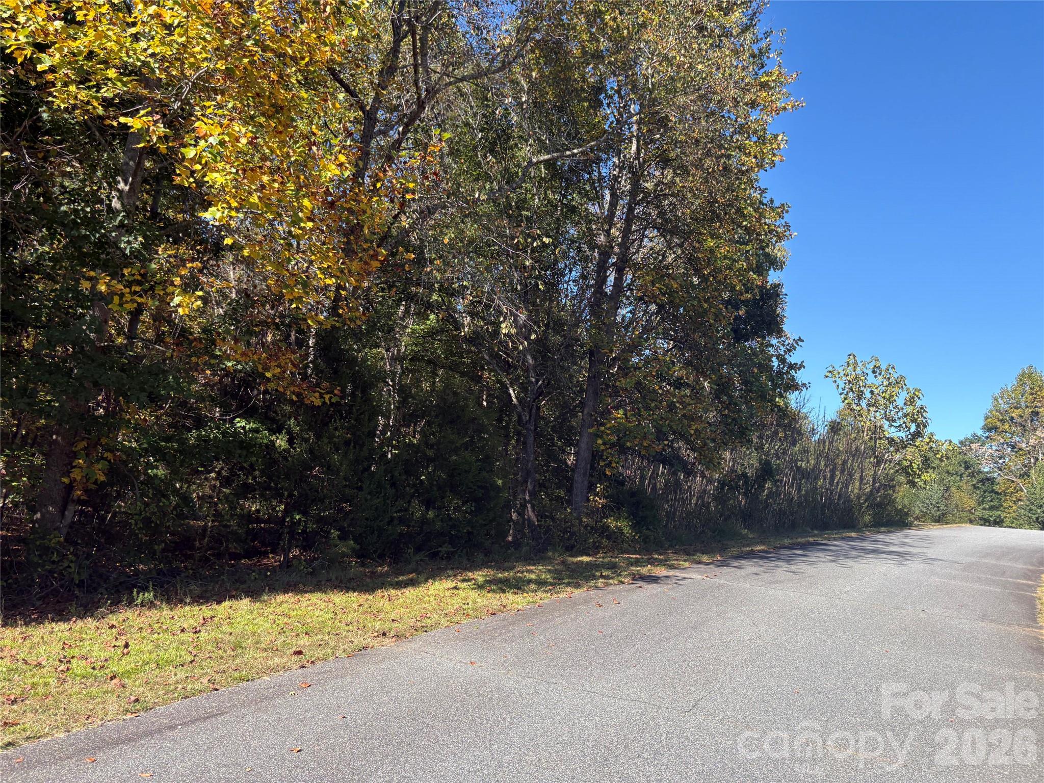 Lot 15 Hickory Loop