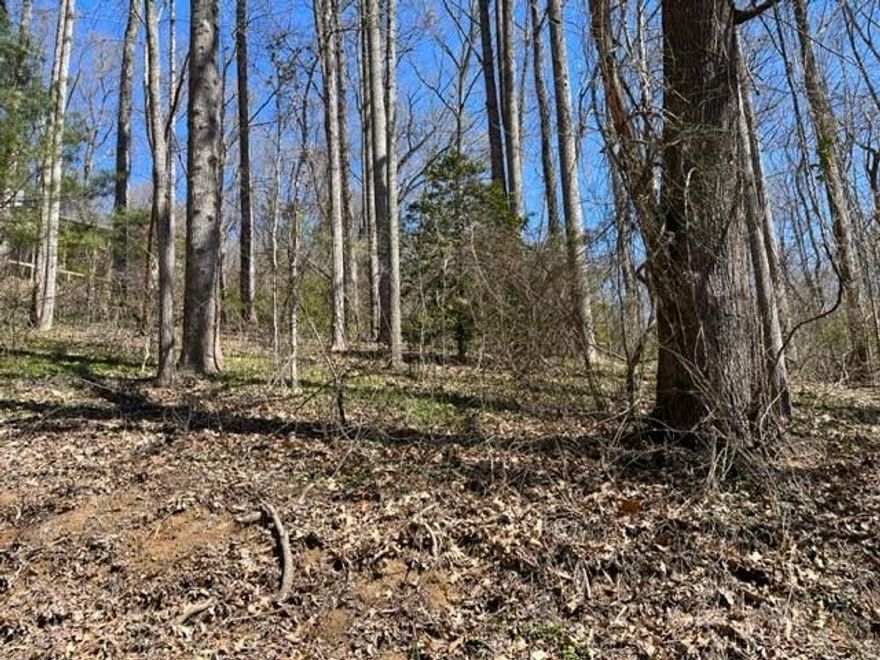 Beautiful building lot in a cute little community just off Sweeten Creek Road in Arden. Not many of these lots left for sale in this convenient little neighborhood and is super close to just about anywhere you would want to go. There are lots of Dining and local shops nearby. Whether you want to work, play, or just keep to yourself this is the perfect lot for you. The best way to view this lot is off Poplar terrace.