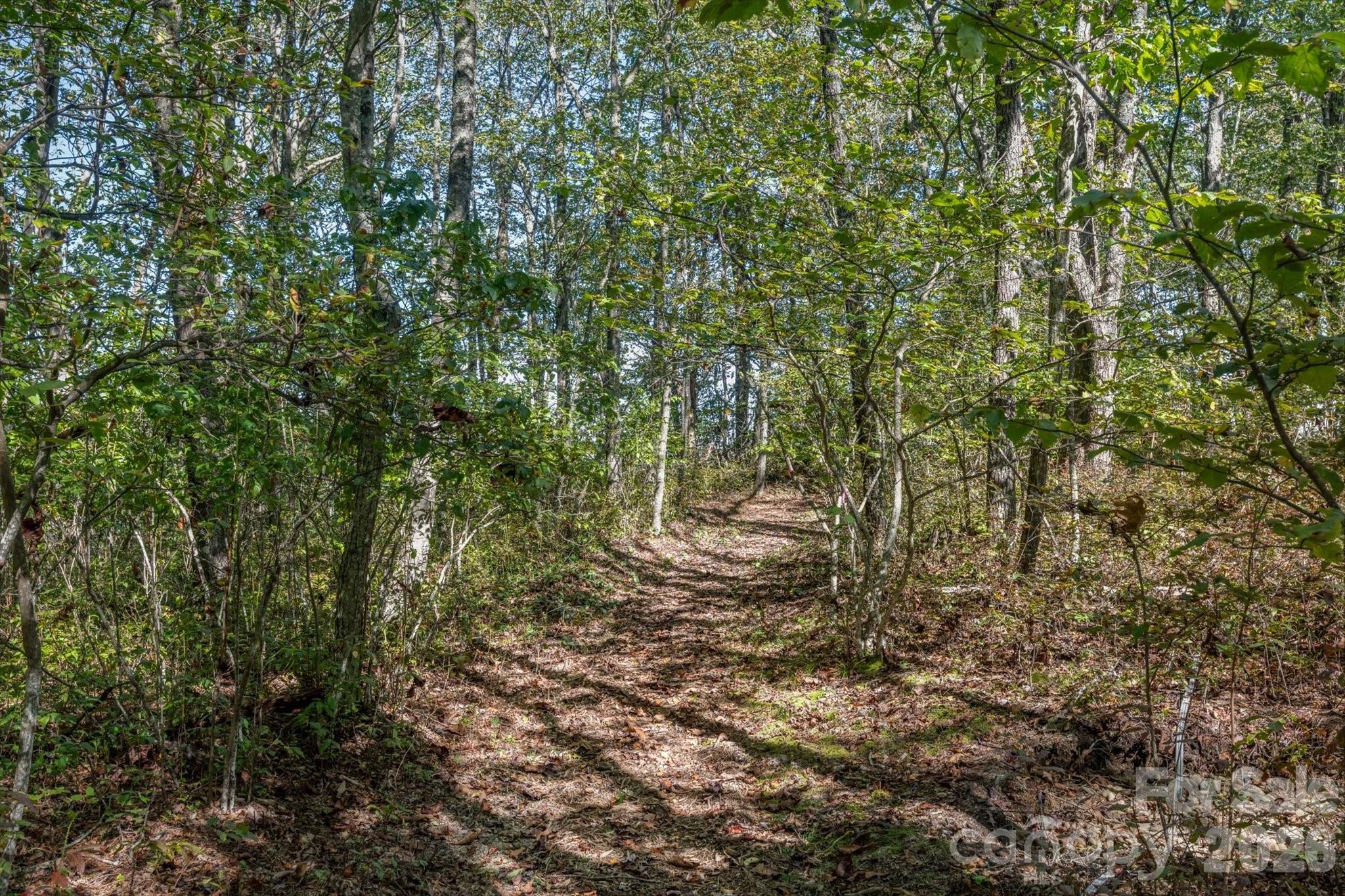 Lake Toxaway Estates - Residential