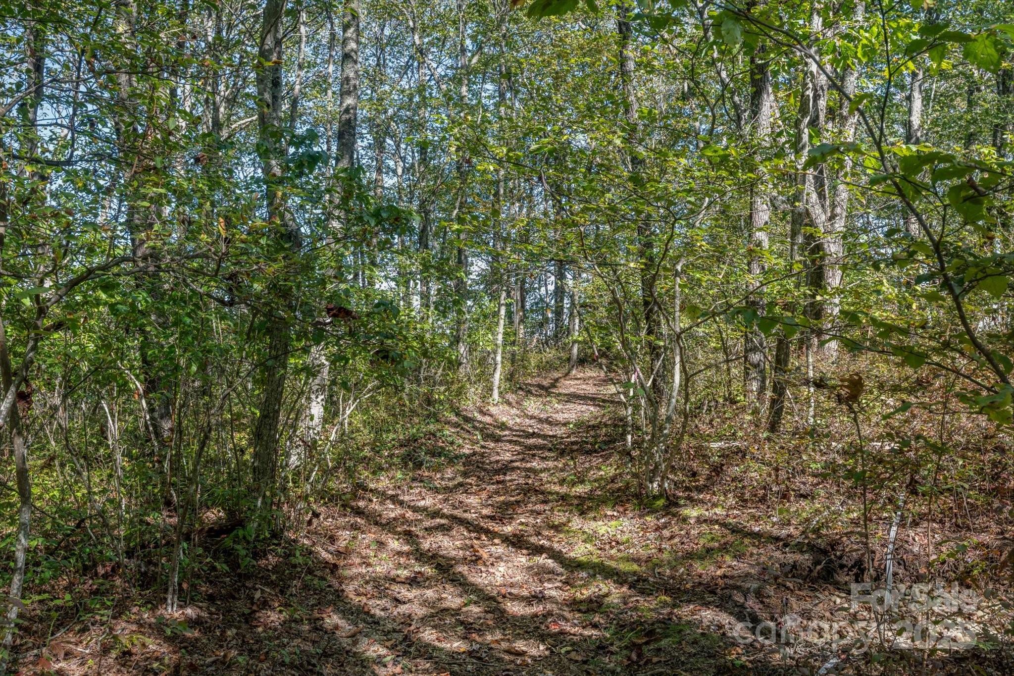 Lake Toxaway Estates - Residential