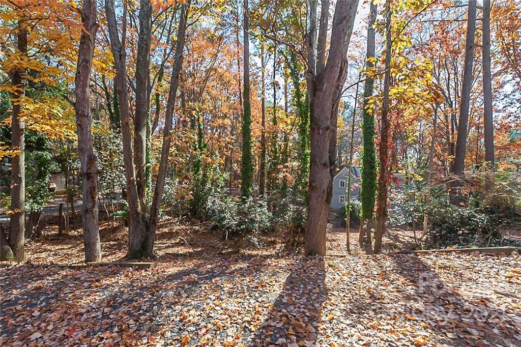 Tega Cay - Residential