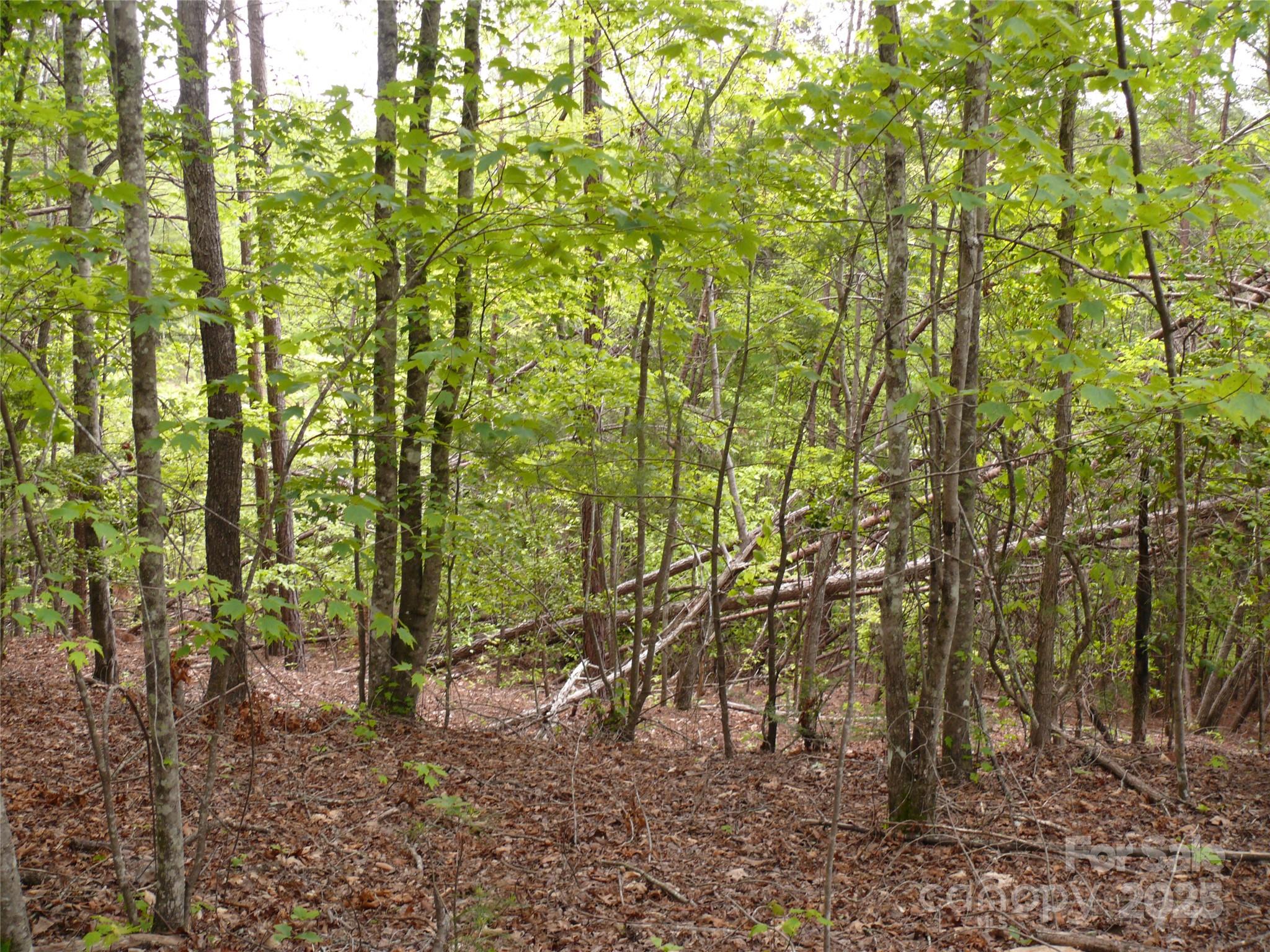 The Vineyards - Land