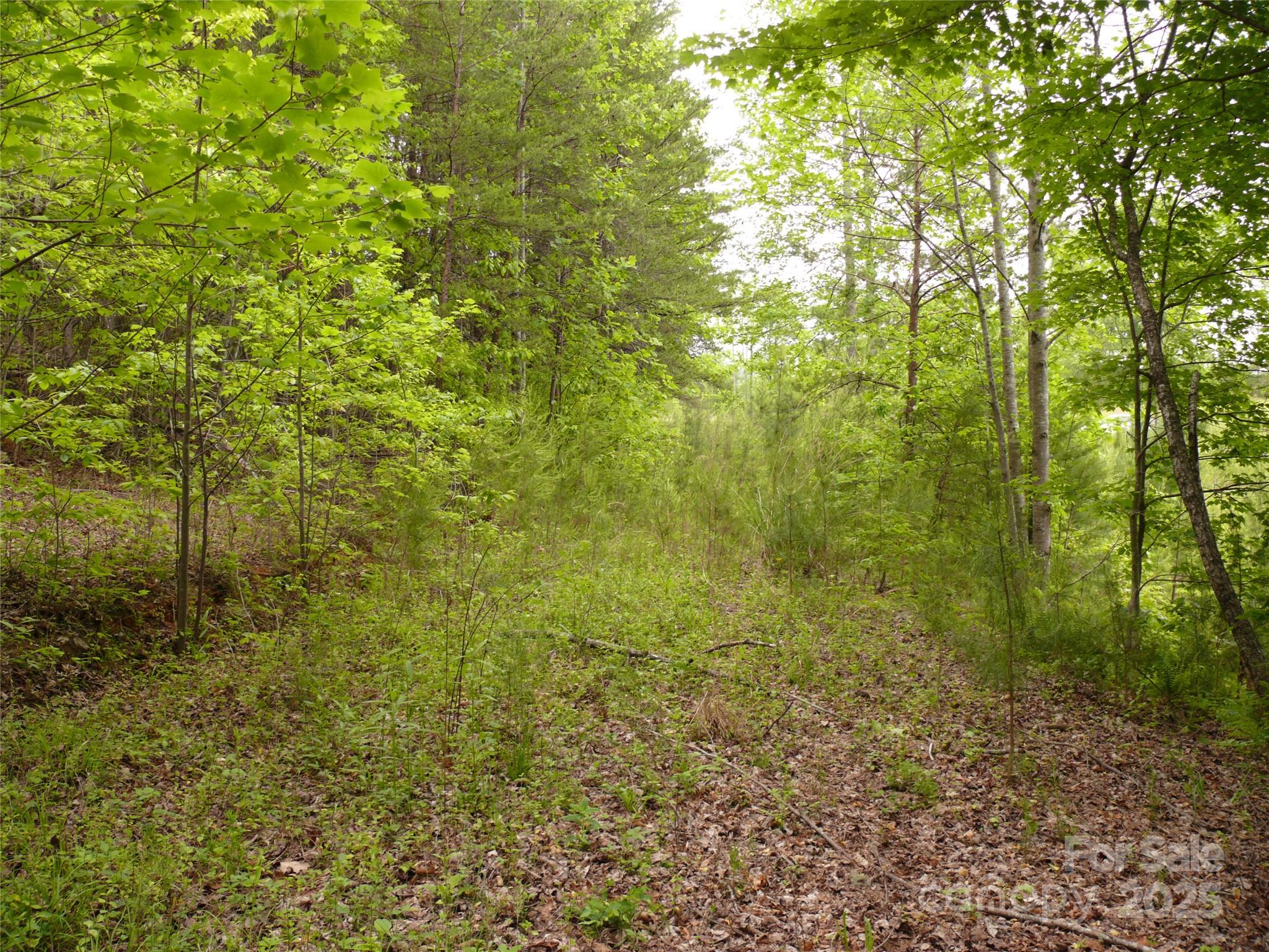The Vineyards - Land