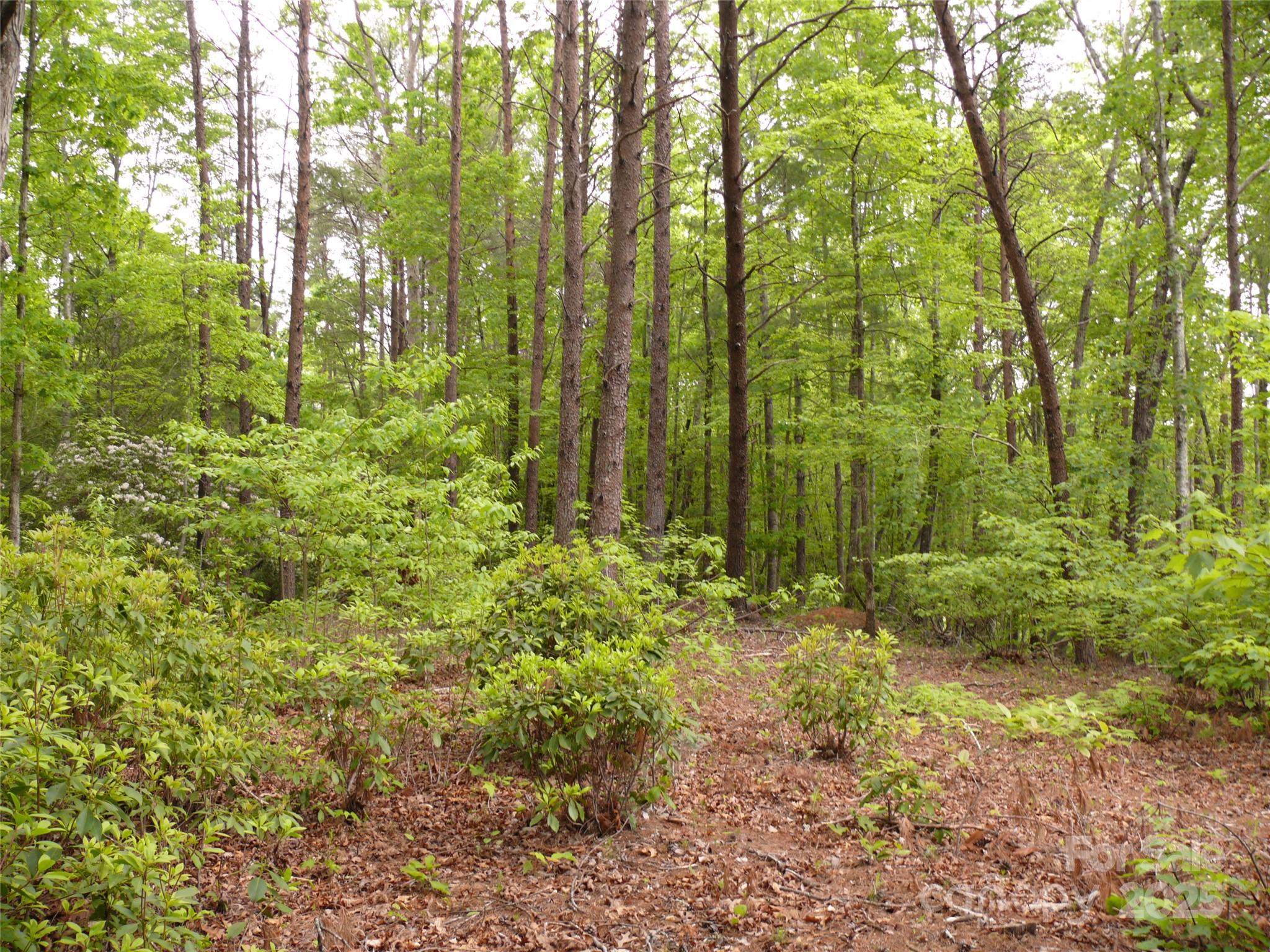 The Vineyards - Land
