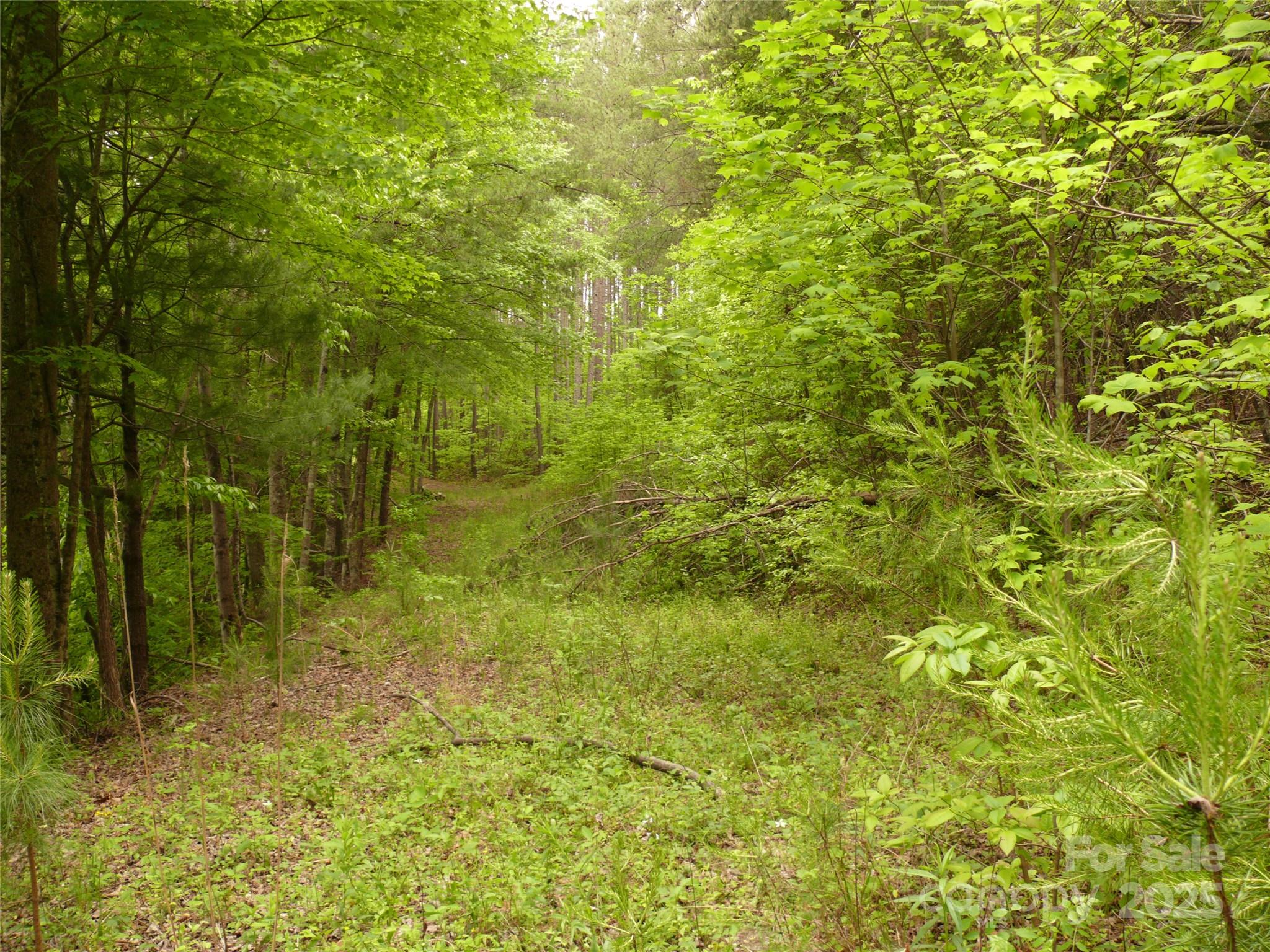 The Vineyards - Land