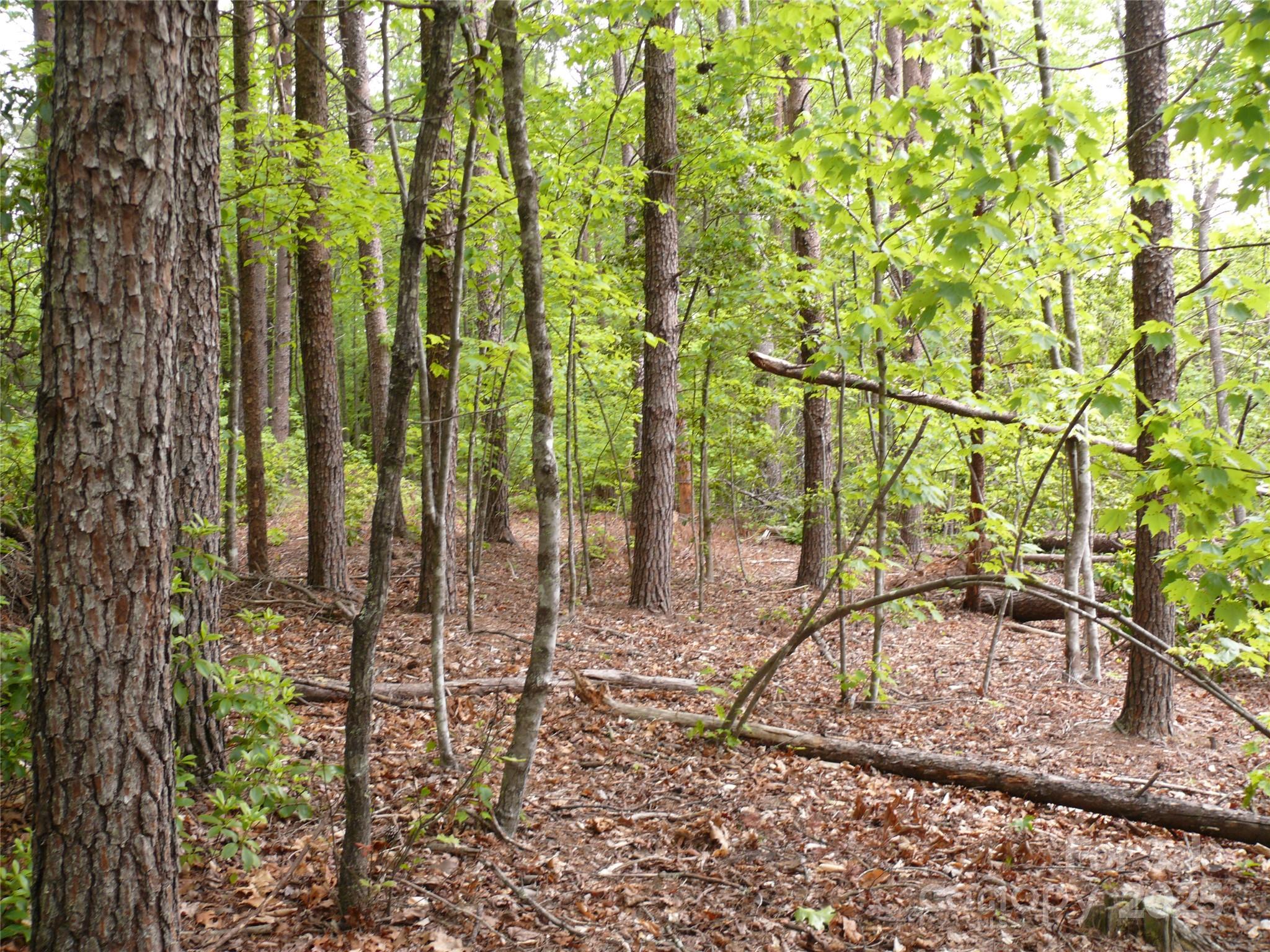 The Vineyards - Land