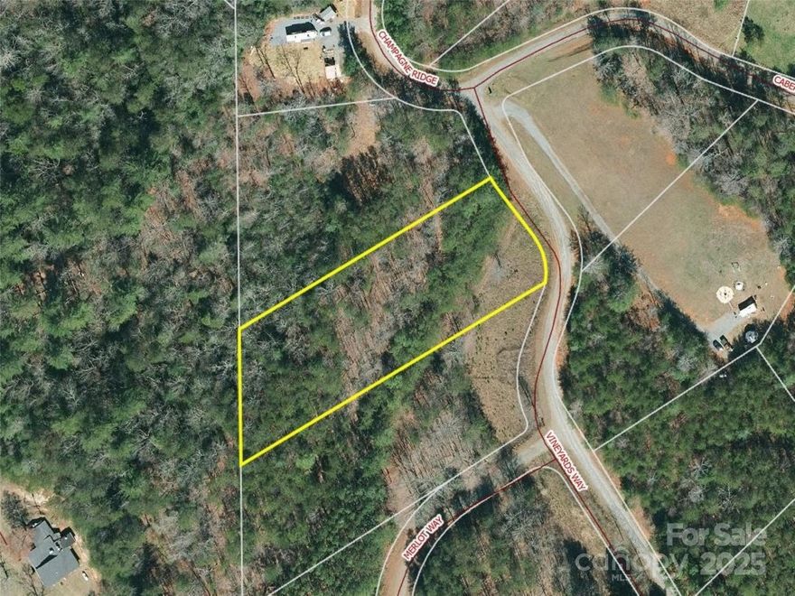 Unbelievable 1.51 acre easy-build lot in Lake Lure with mild restrictions! YES to tiny homes, YES to RVs, YES to park your camper! Build your dream home with no time limit, and enjoy plenty of space. The Vineyards has a road maintenance fee of $300 per year, and is convenient to area attractions. The neighborhood is outside Lake Lure town limits, so there are no zoning requirements.  This is a rare find!