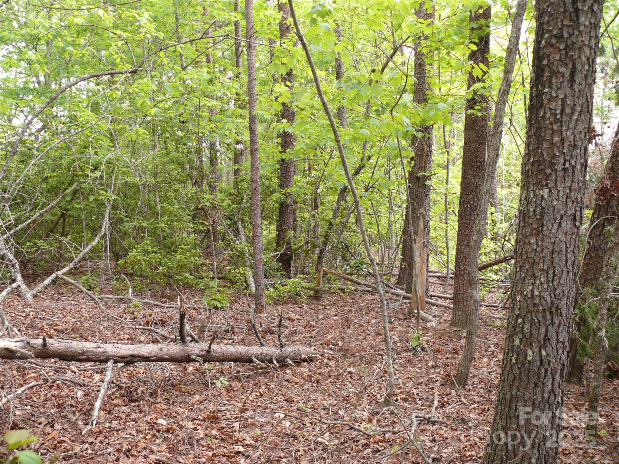 The Vineyards - Land
