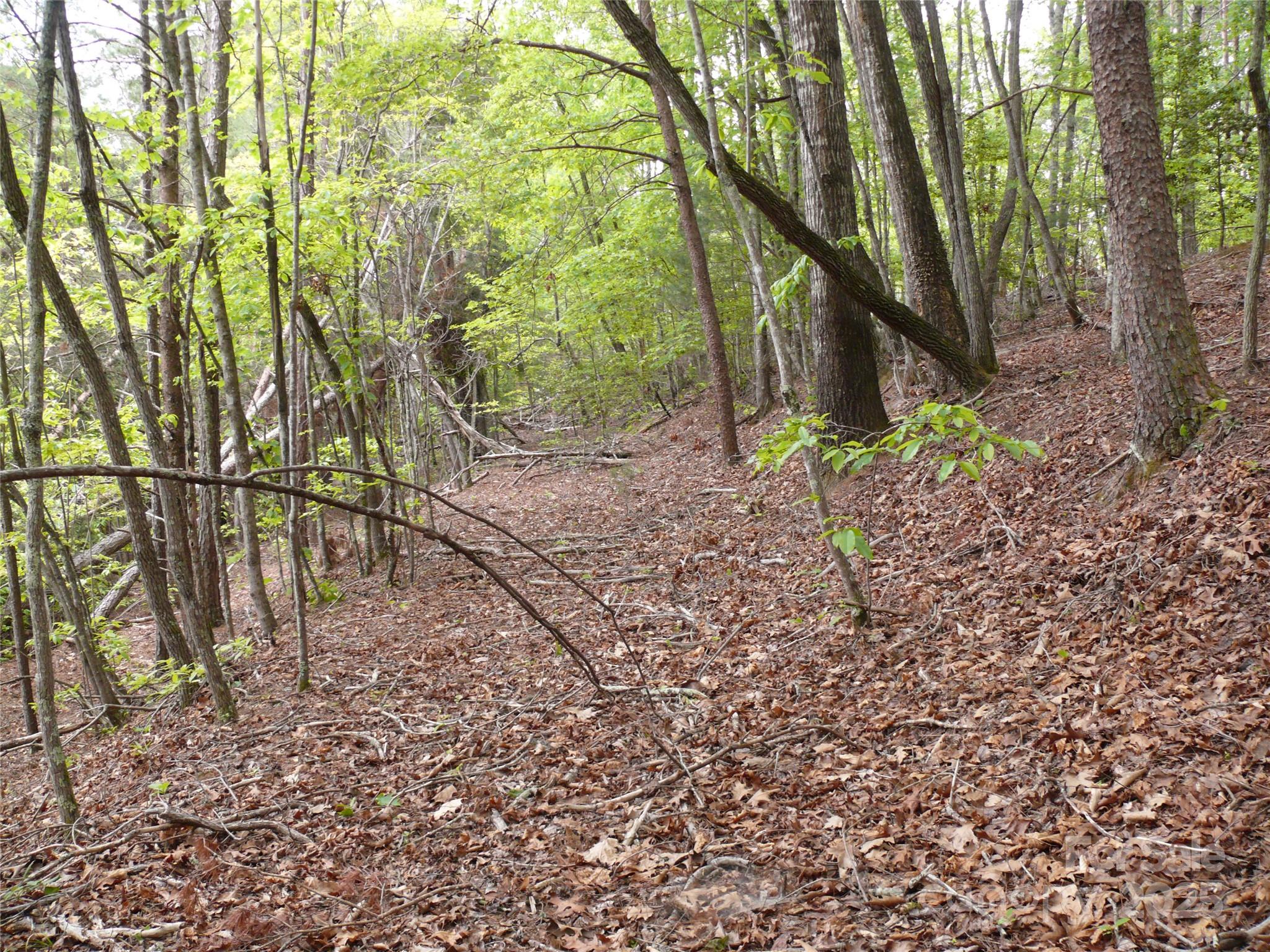 The Vineyards - Land