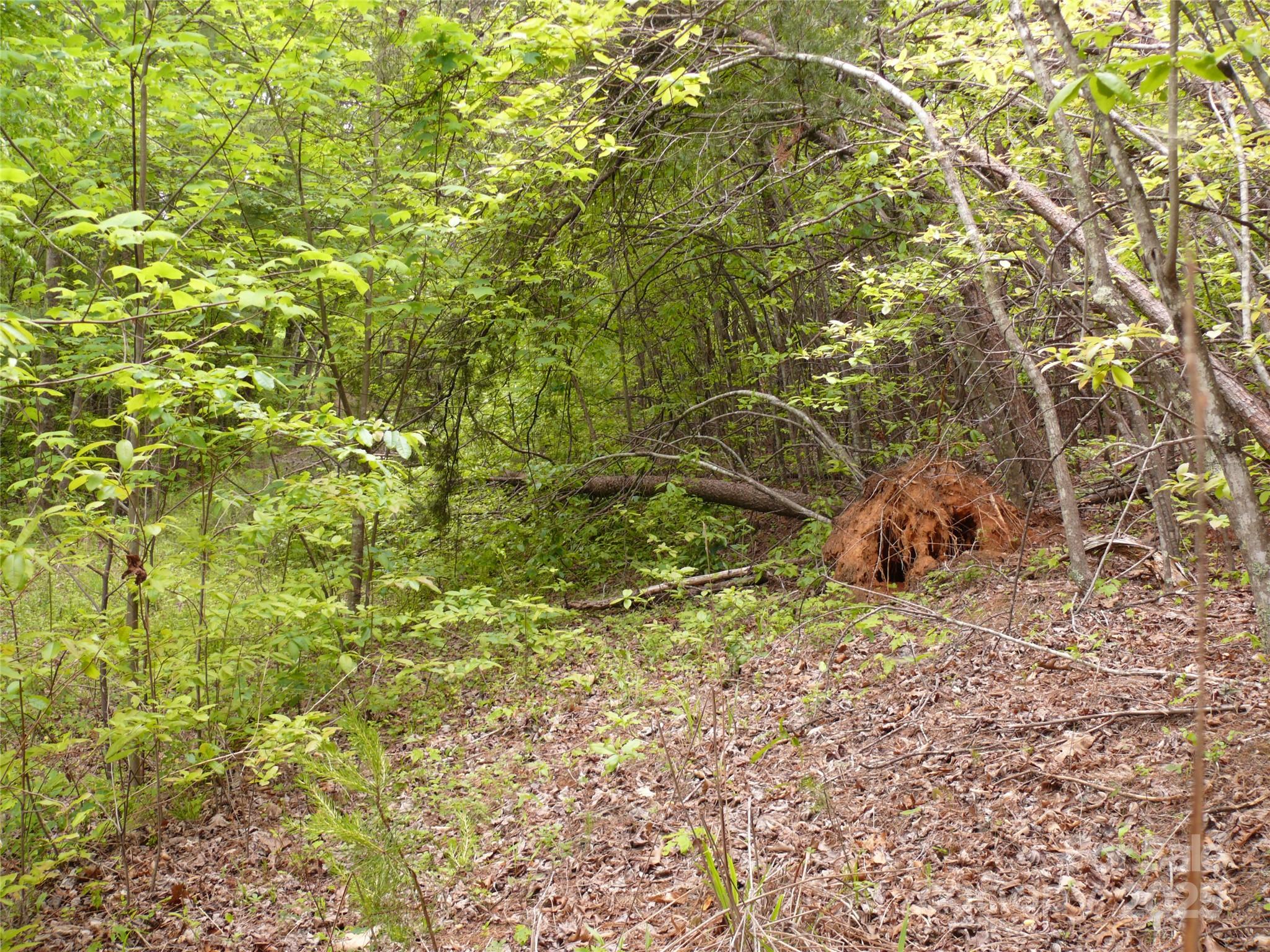 The Vineyards - Land