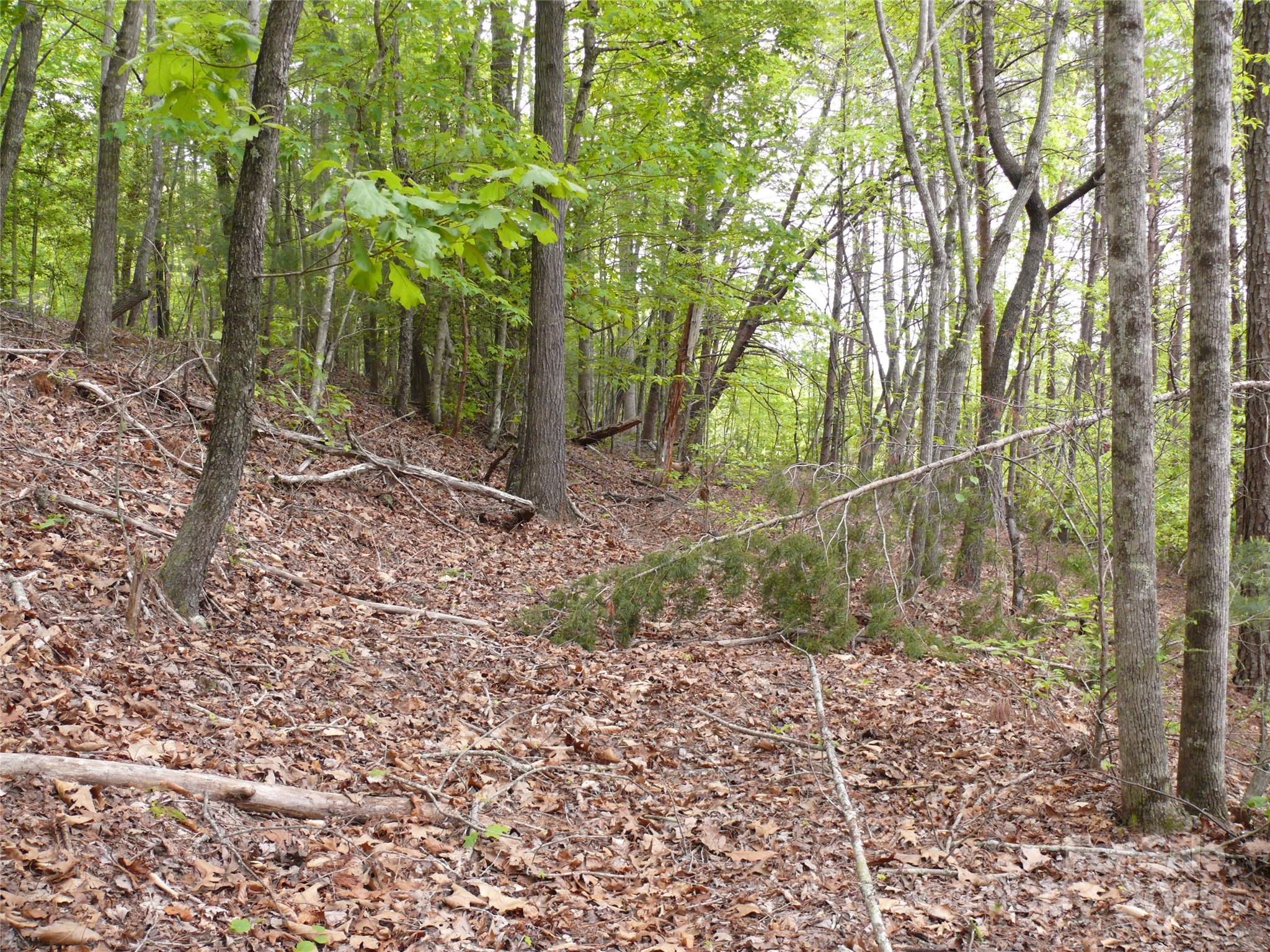 The Vineyards - Land
