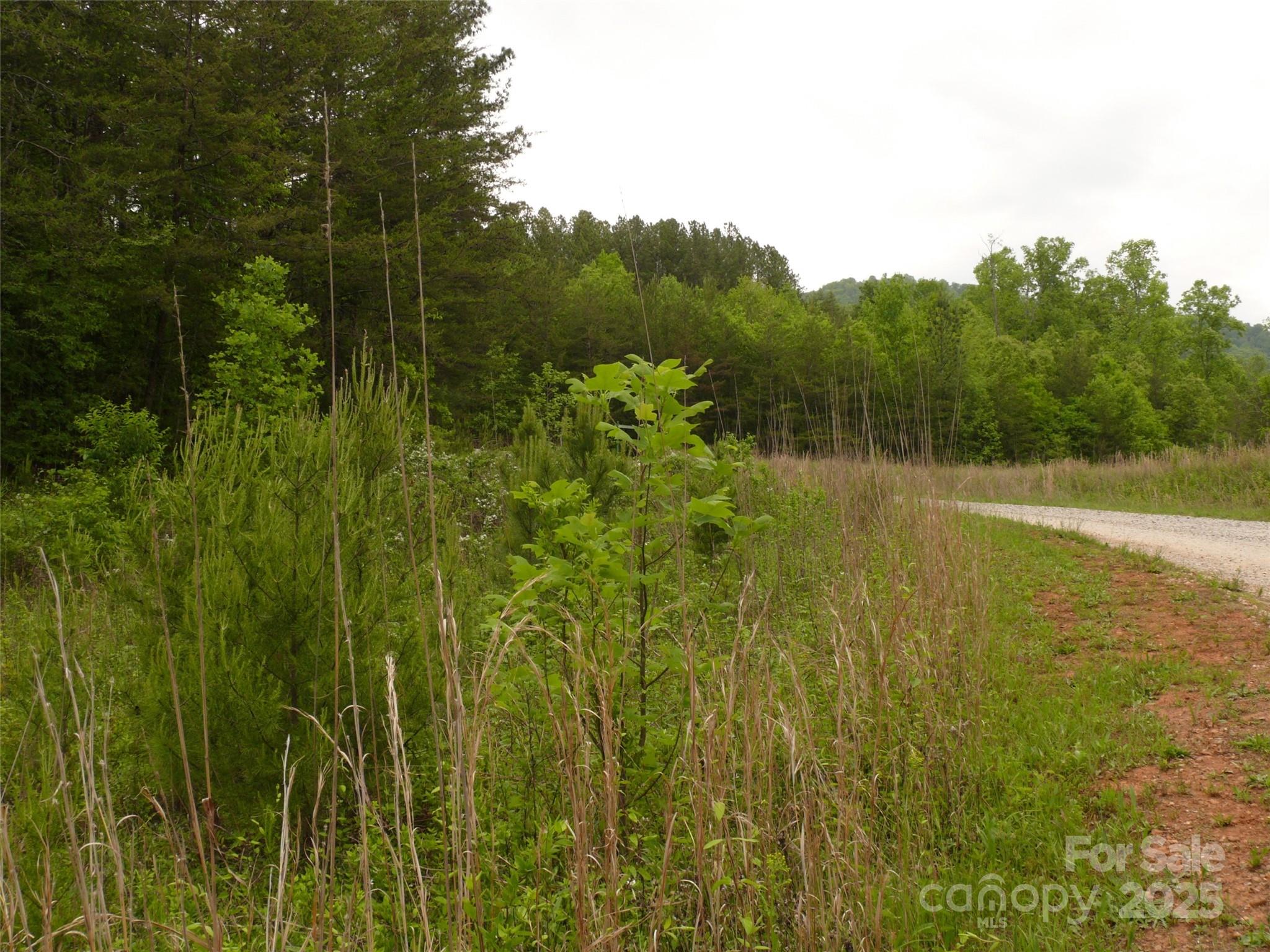 The Vineyards - Land