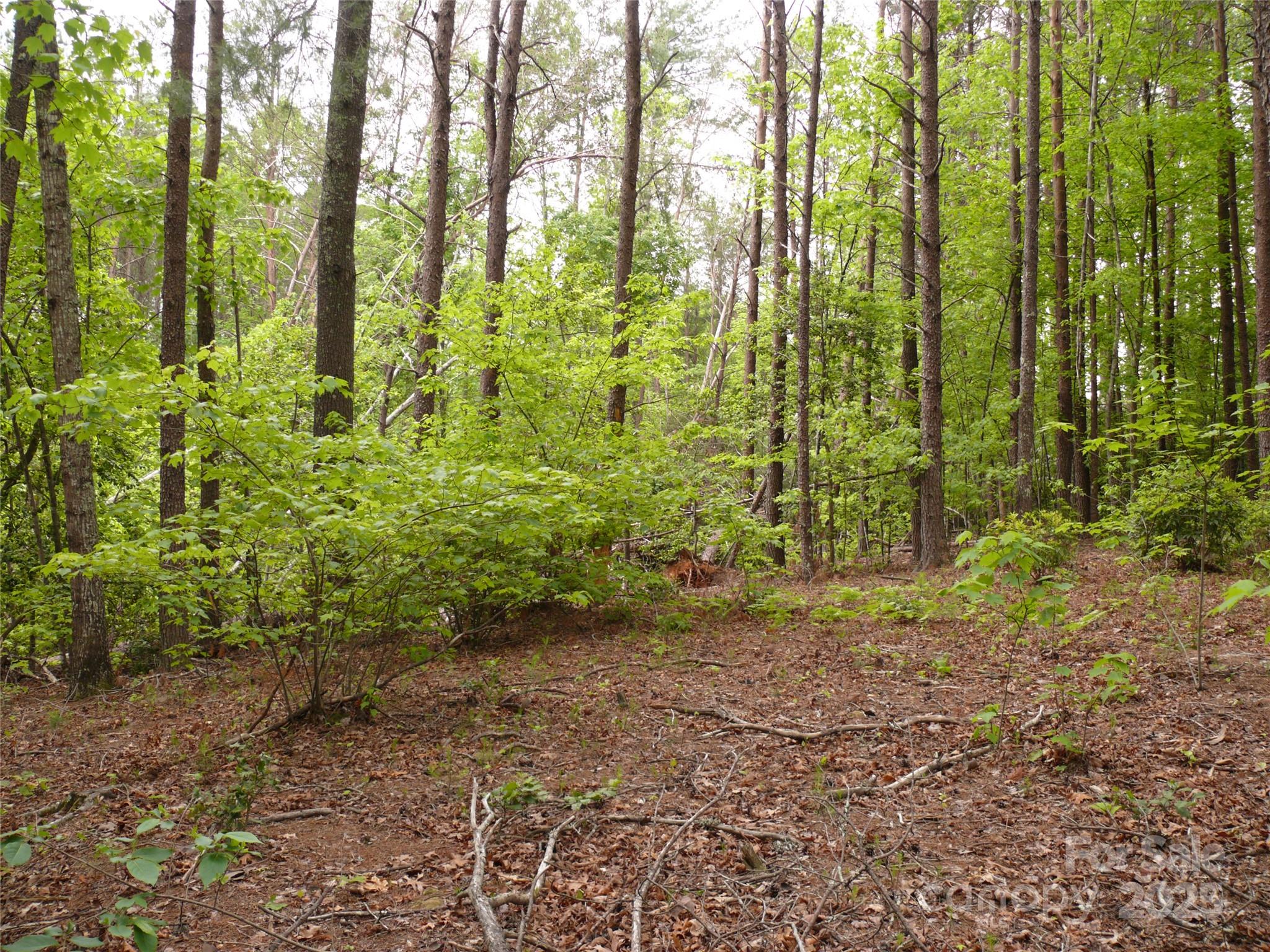 The Vineyards - Land