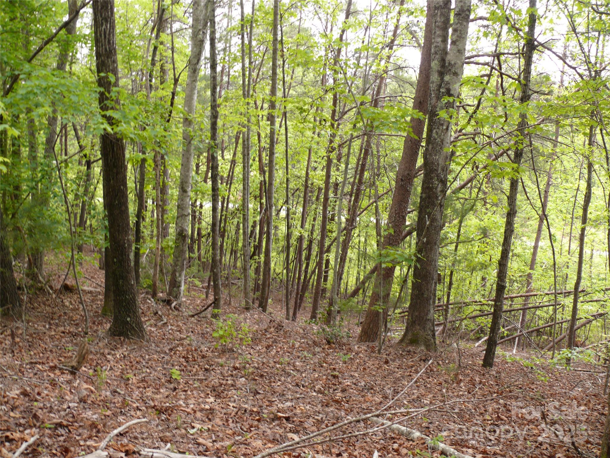 The Vineyards - Land